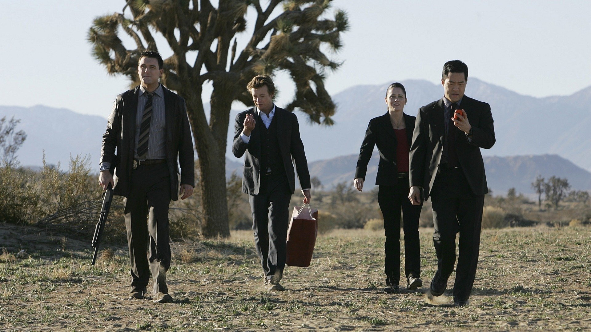 The Mentalist : Carnelian Inc