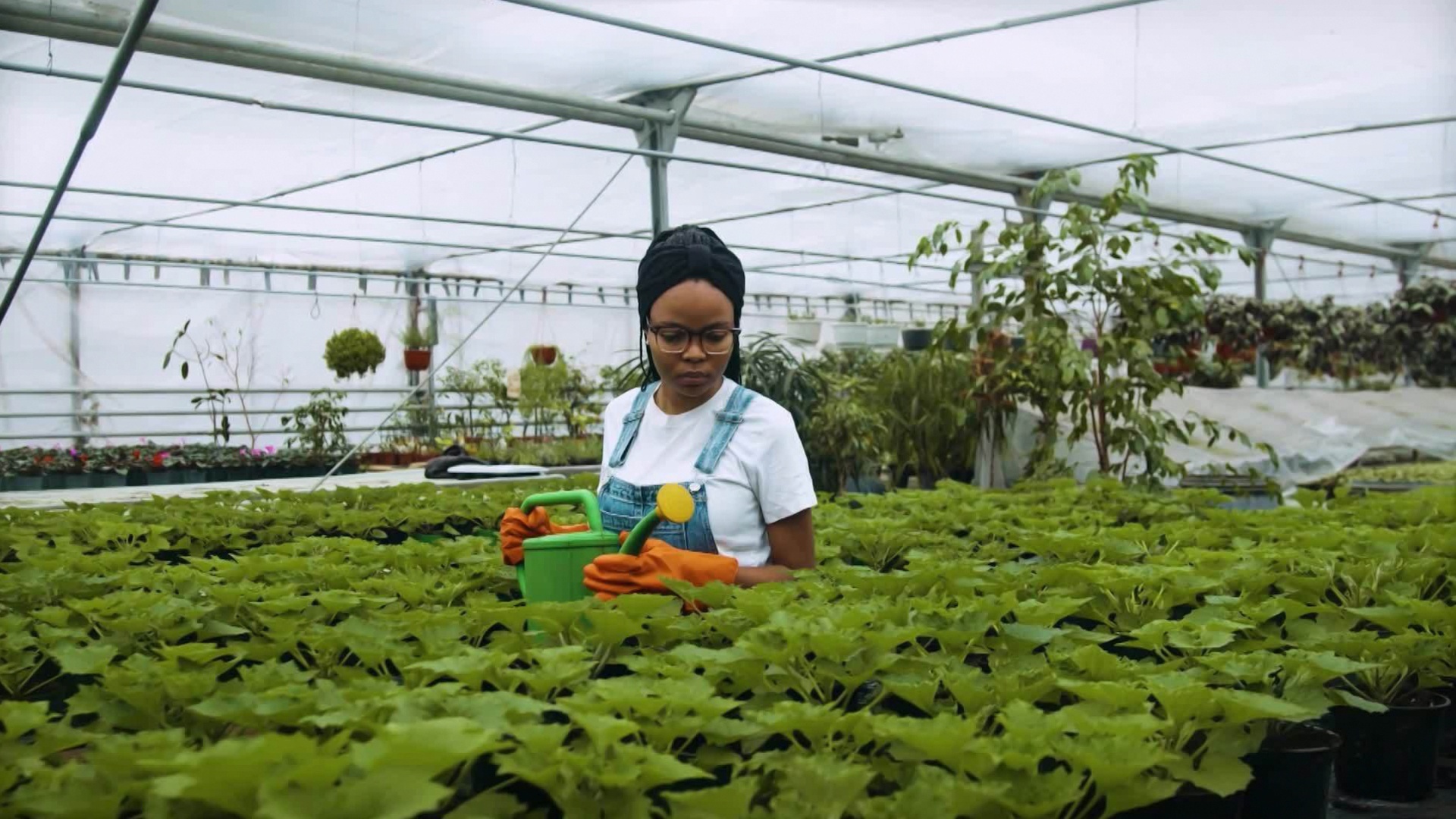 Brasil 2050 : Alimentos
