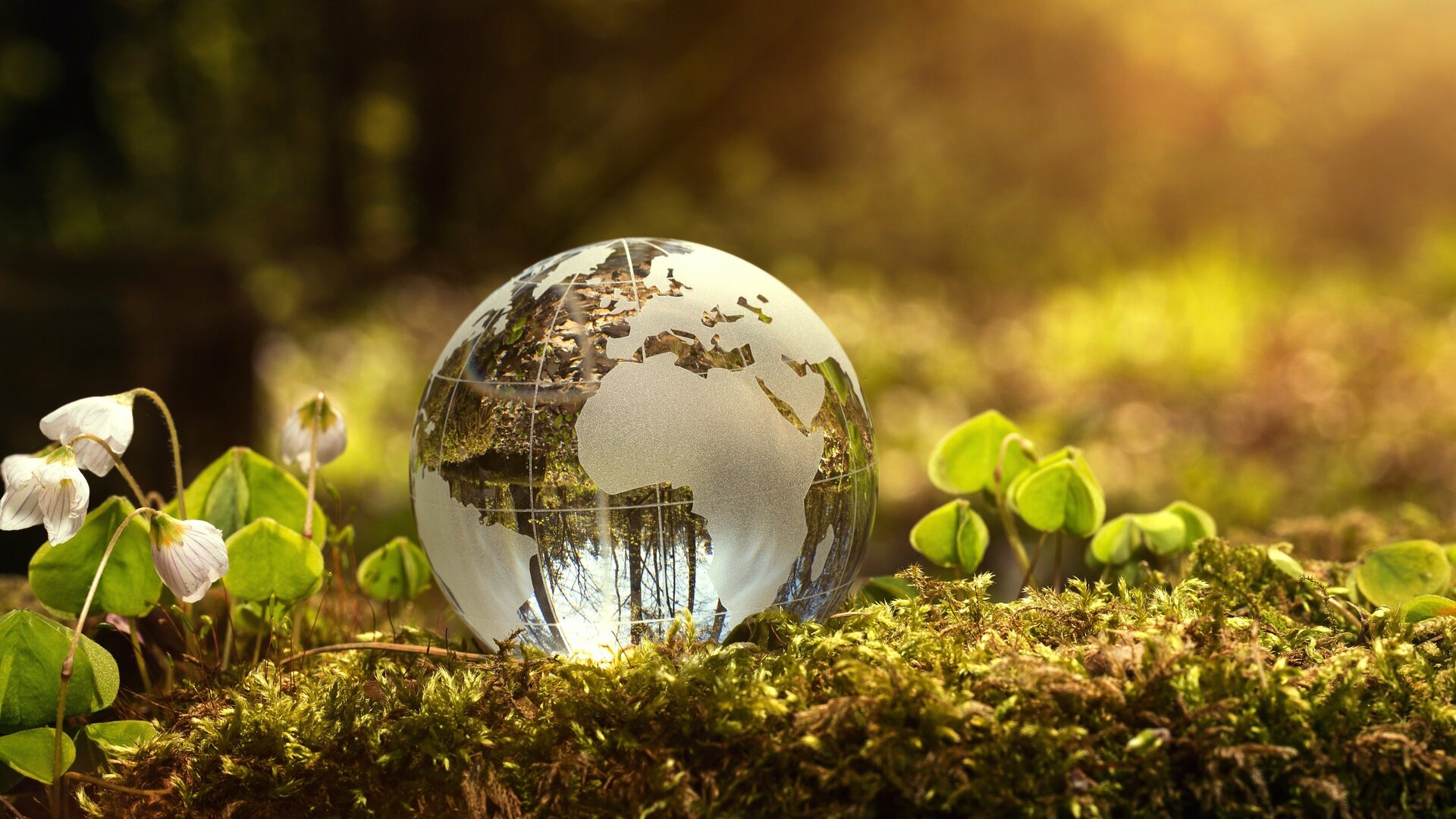 Biodiversidade - Primeiro Mundo É Aqui