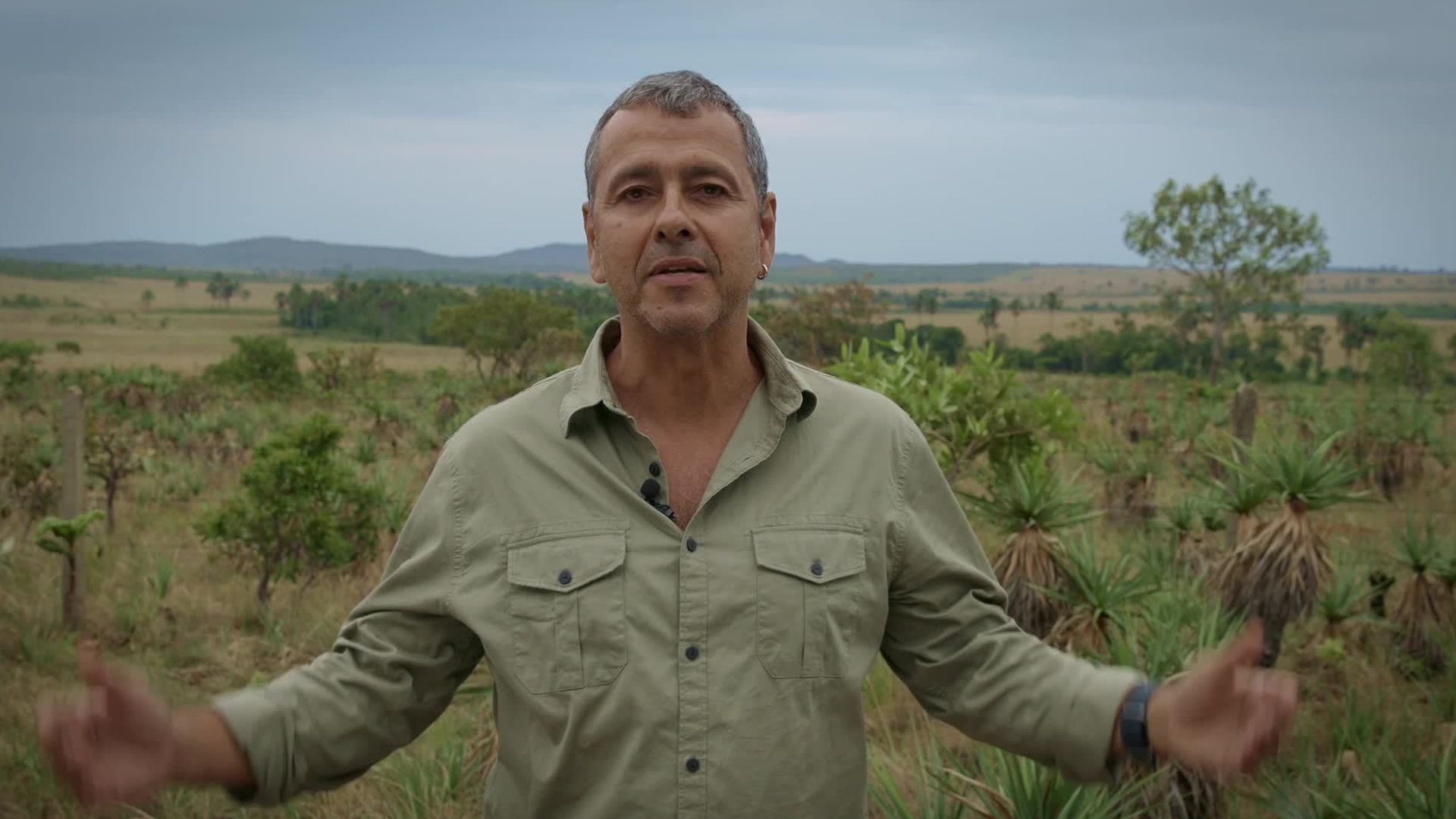 Manual de Sobrevivência para o Século 21 : Cerrado em Perigo