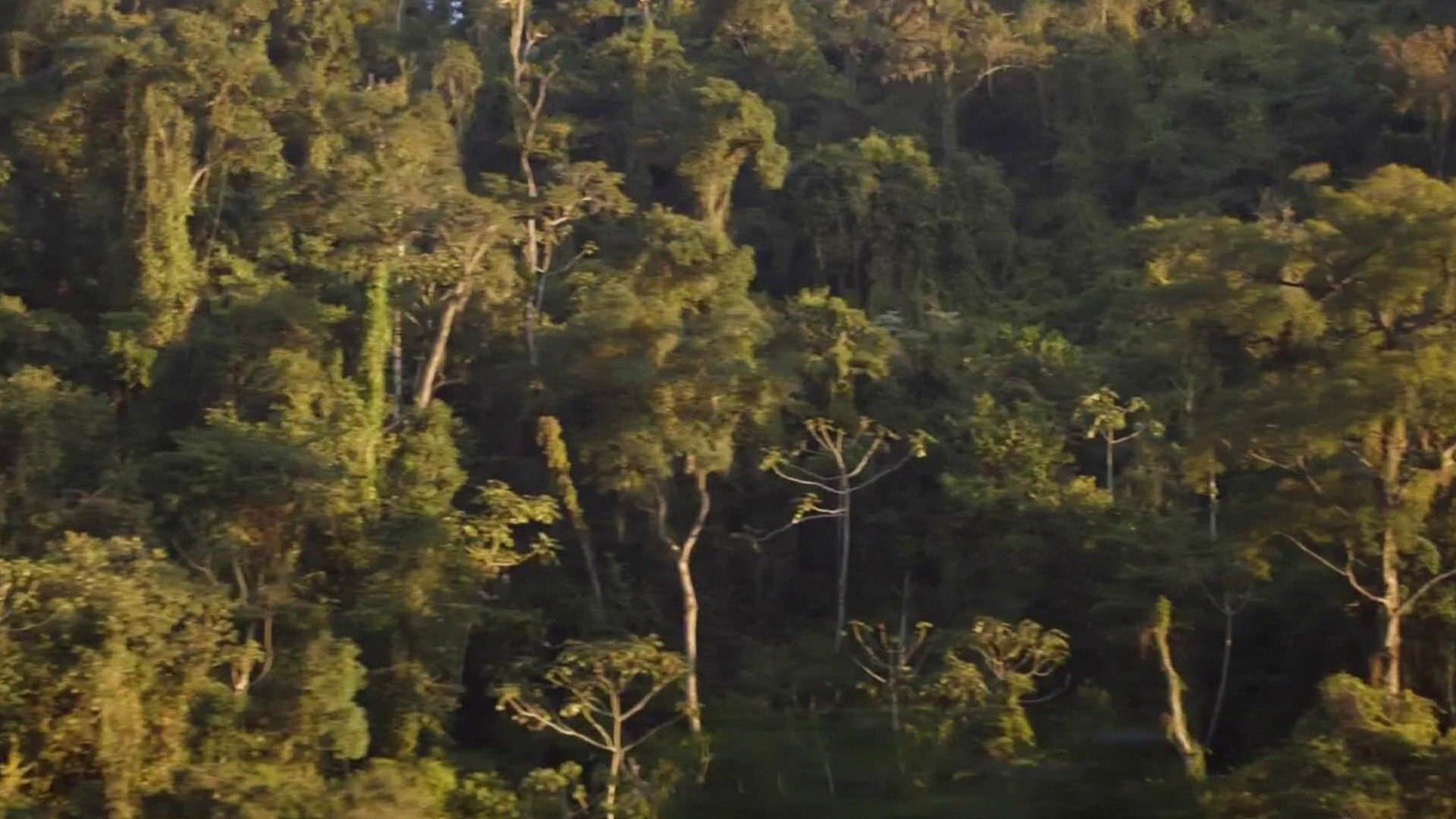 Da Nascente à Foz : Rio Tietê