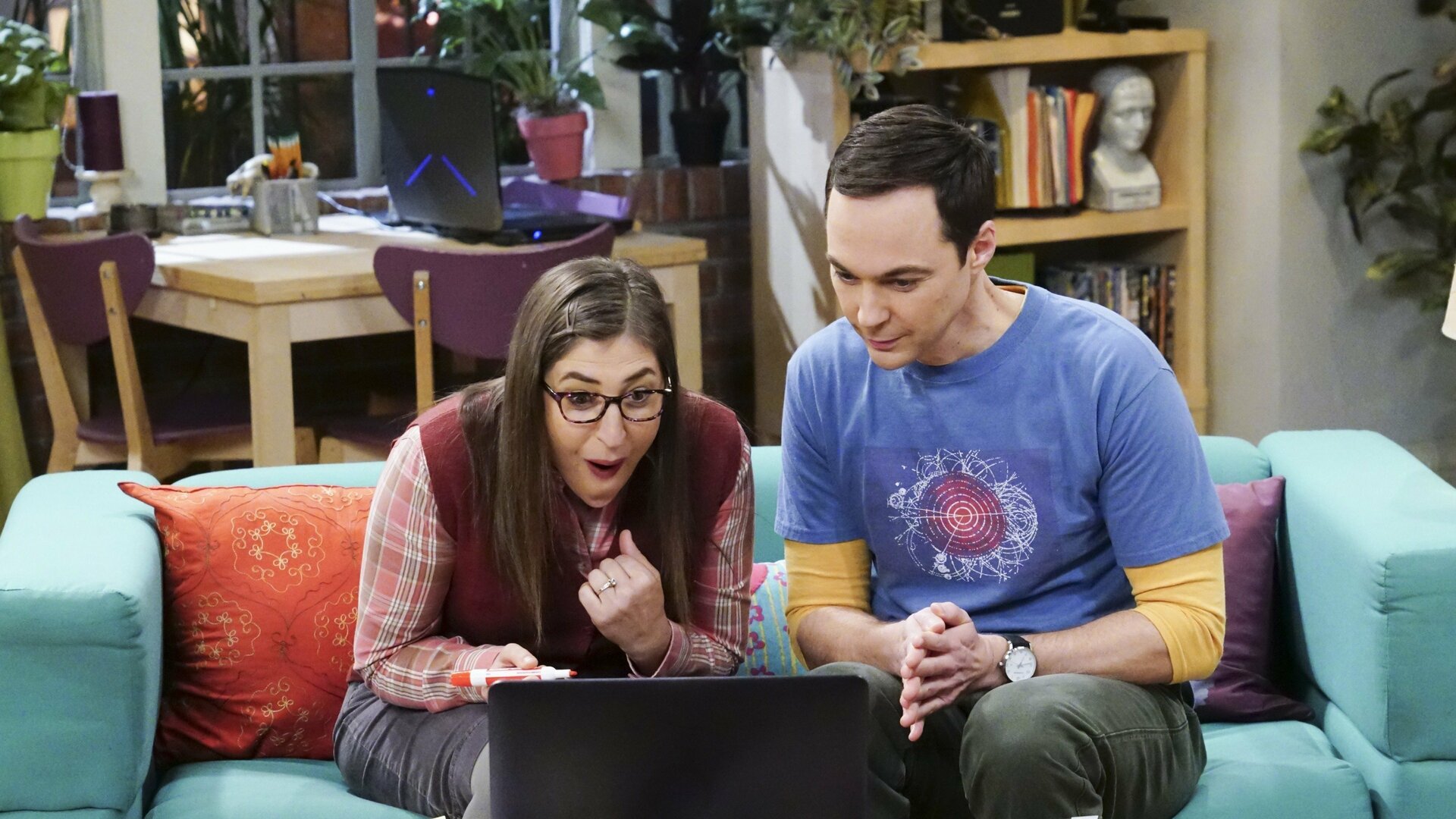 The Big Bang Theory : The Confidence Erosion