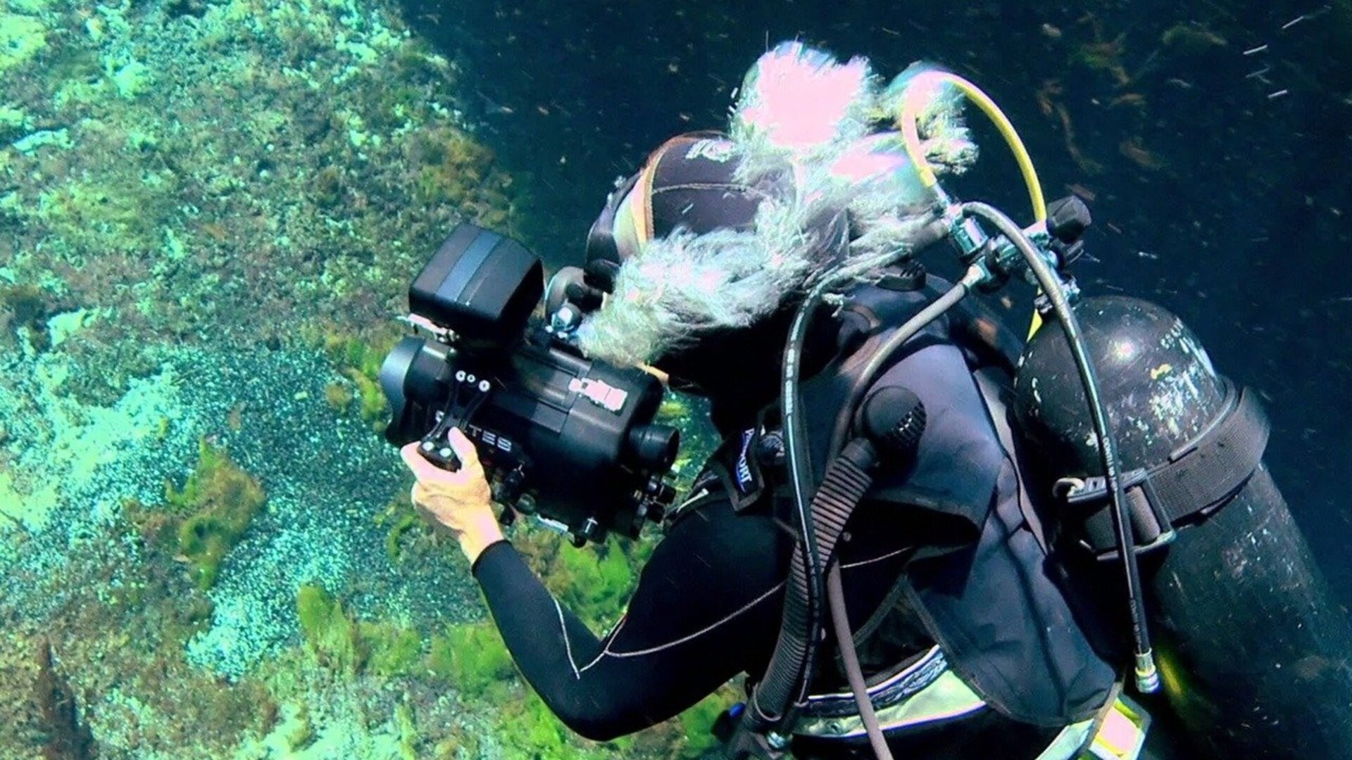 América do Norte : América do Norte Revelada