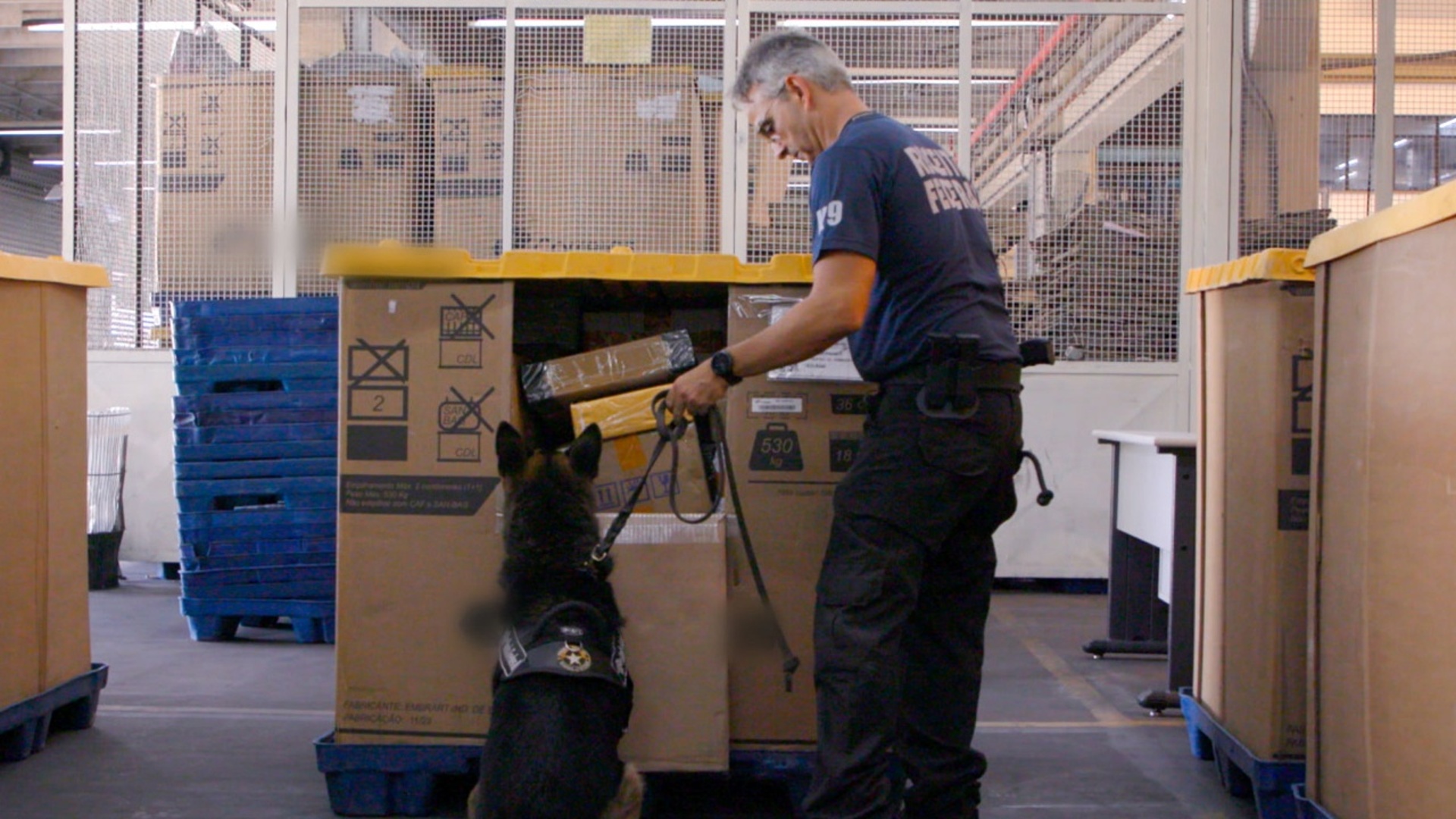Aeroporto - Área Restrita : Focinho Afiado