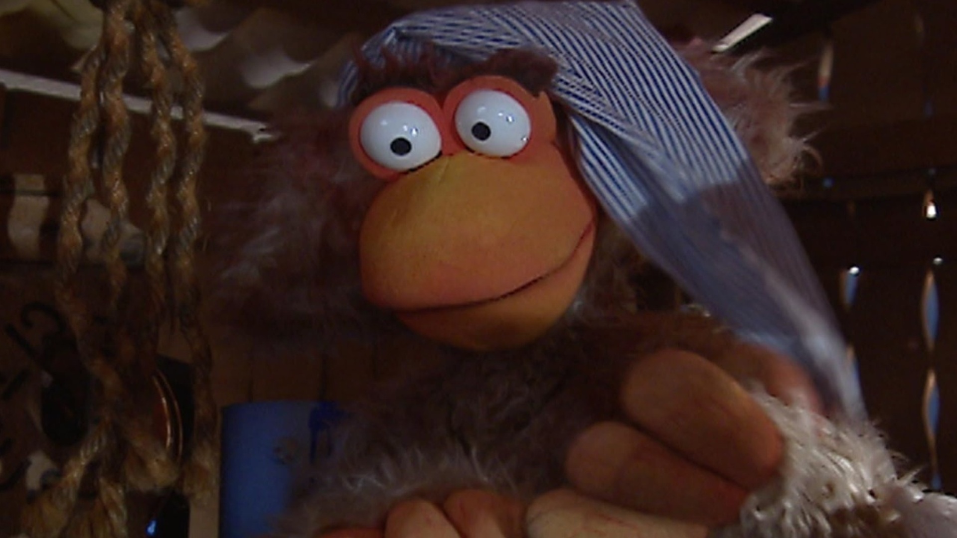 Cocoricó : Já pra Cama