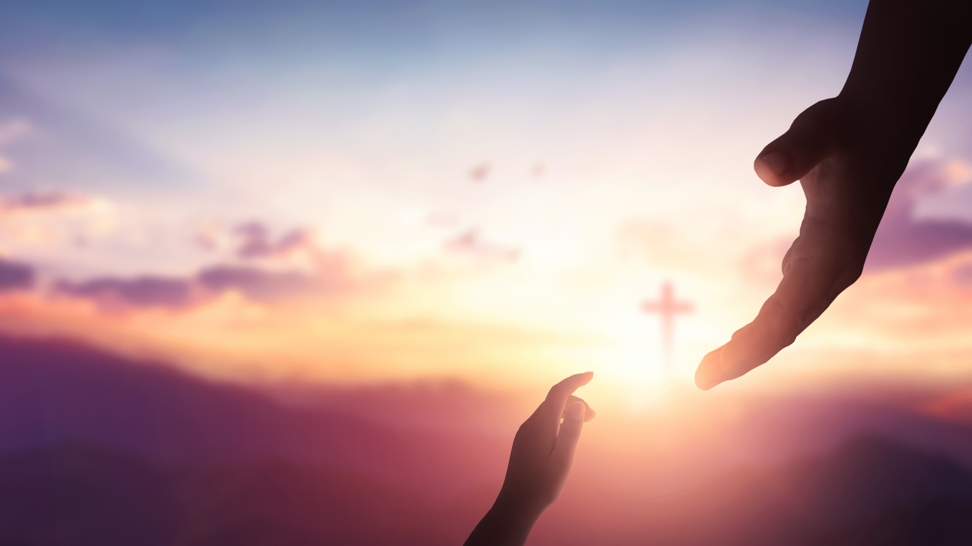 Os Salmos