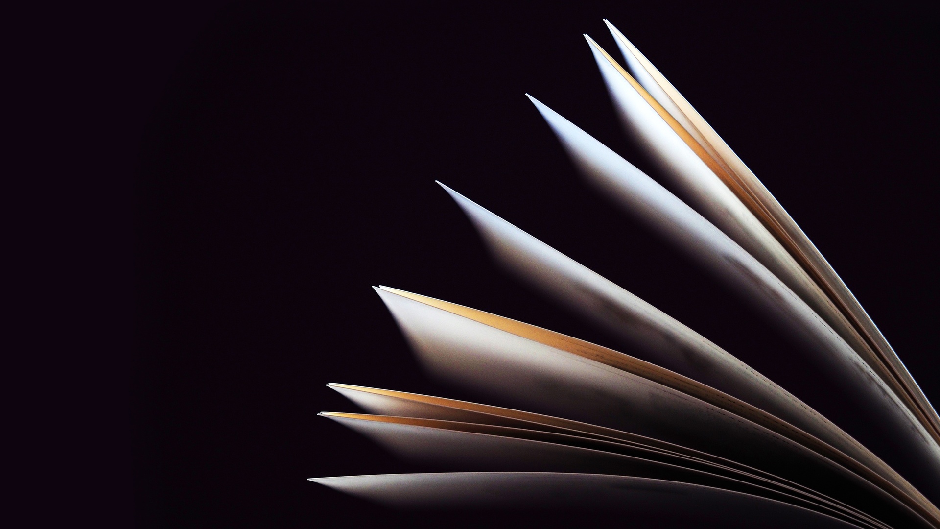 Encontro com a Autora