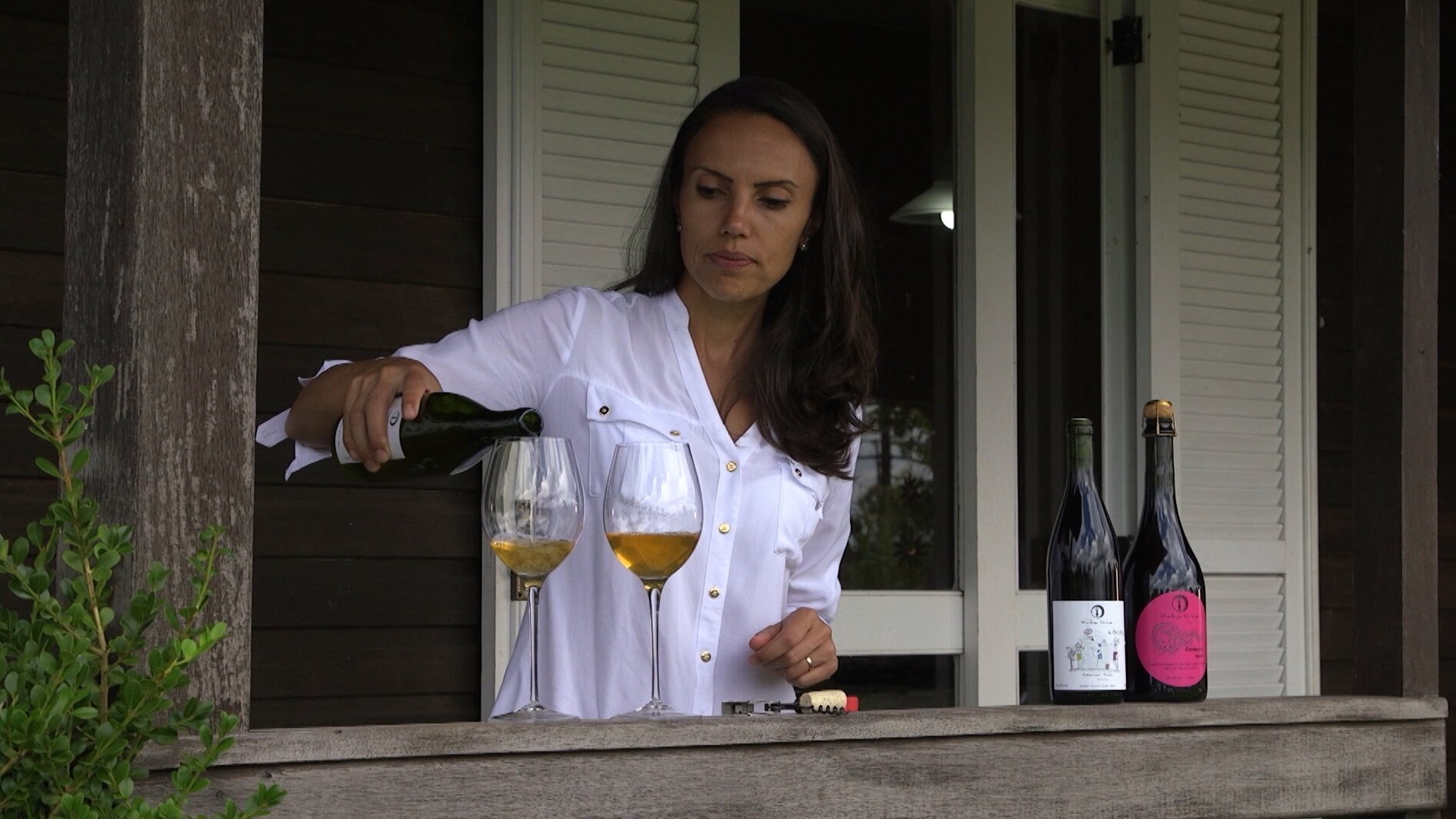 Um Brinde ao Vinho : Biodinâmica