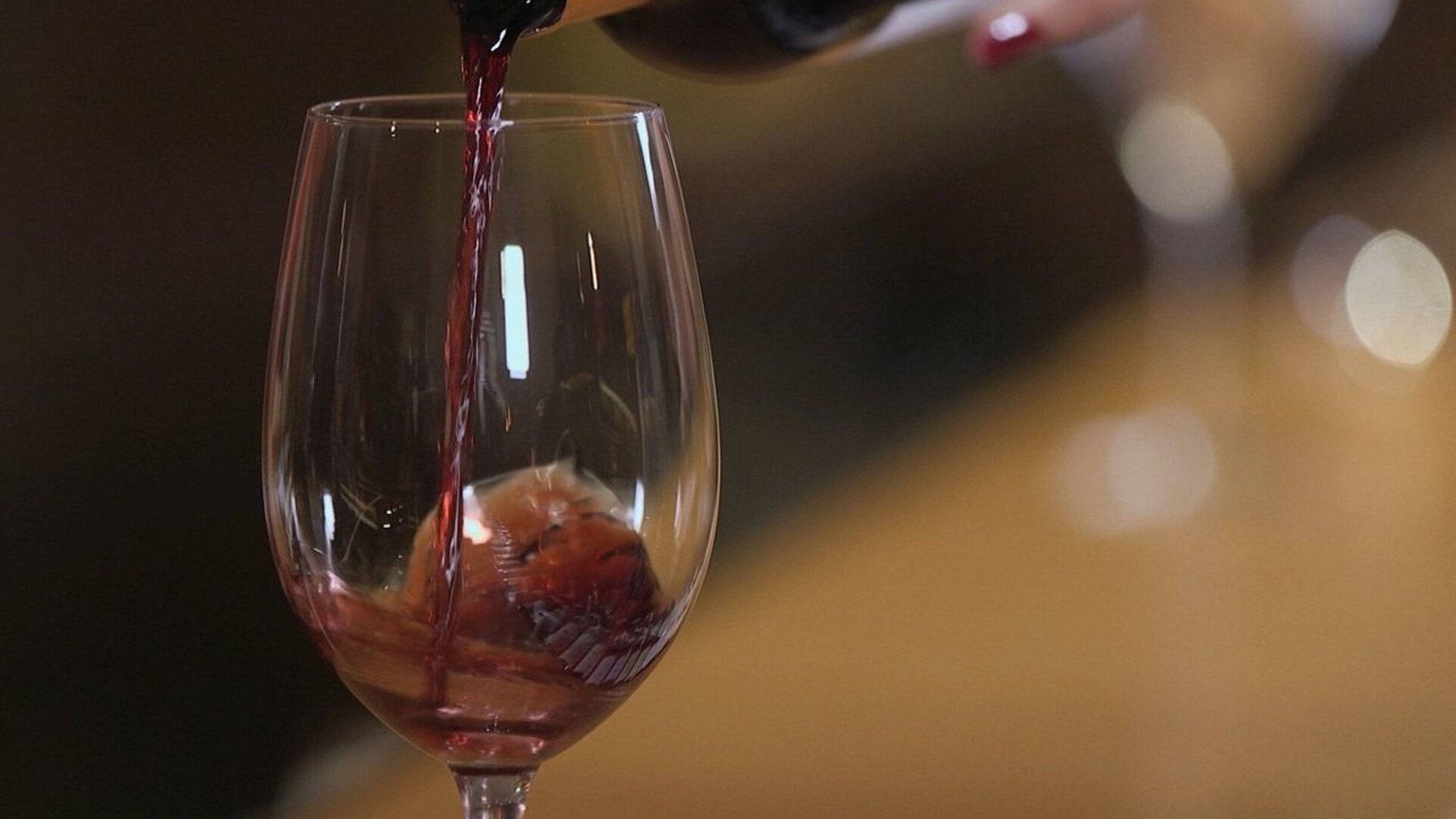 Um Brinde ao Vinho : Futuro do Vinho