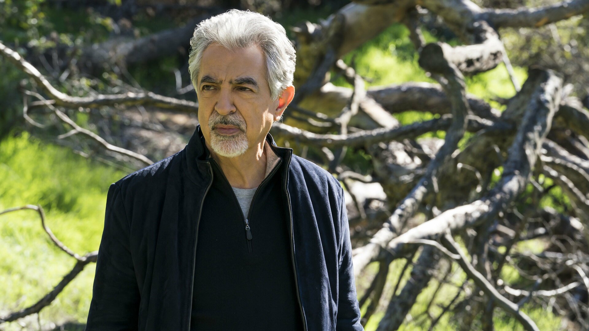 Criminal Minds : Under the Skin