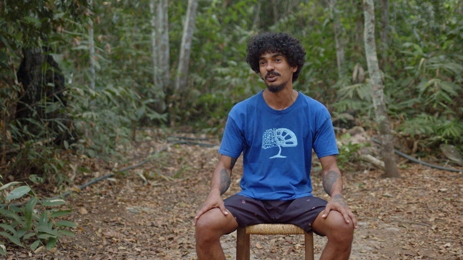 Além da Cidade : A Vida no Mato