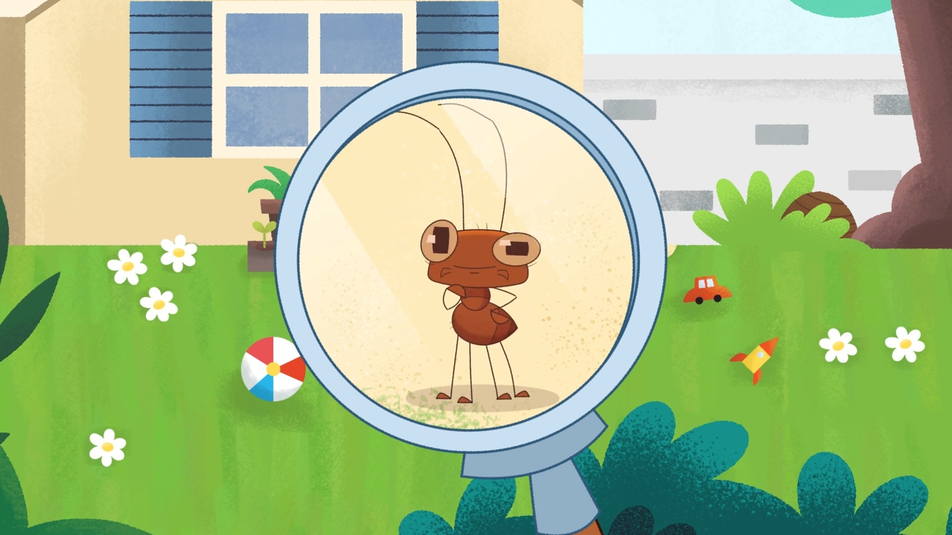 Esse É o Bicho! : Joaninha