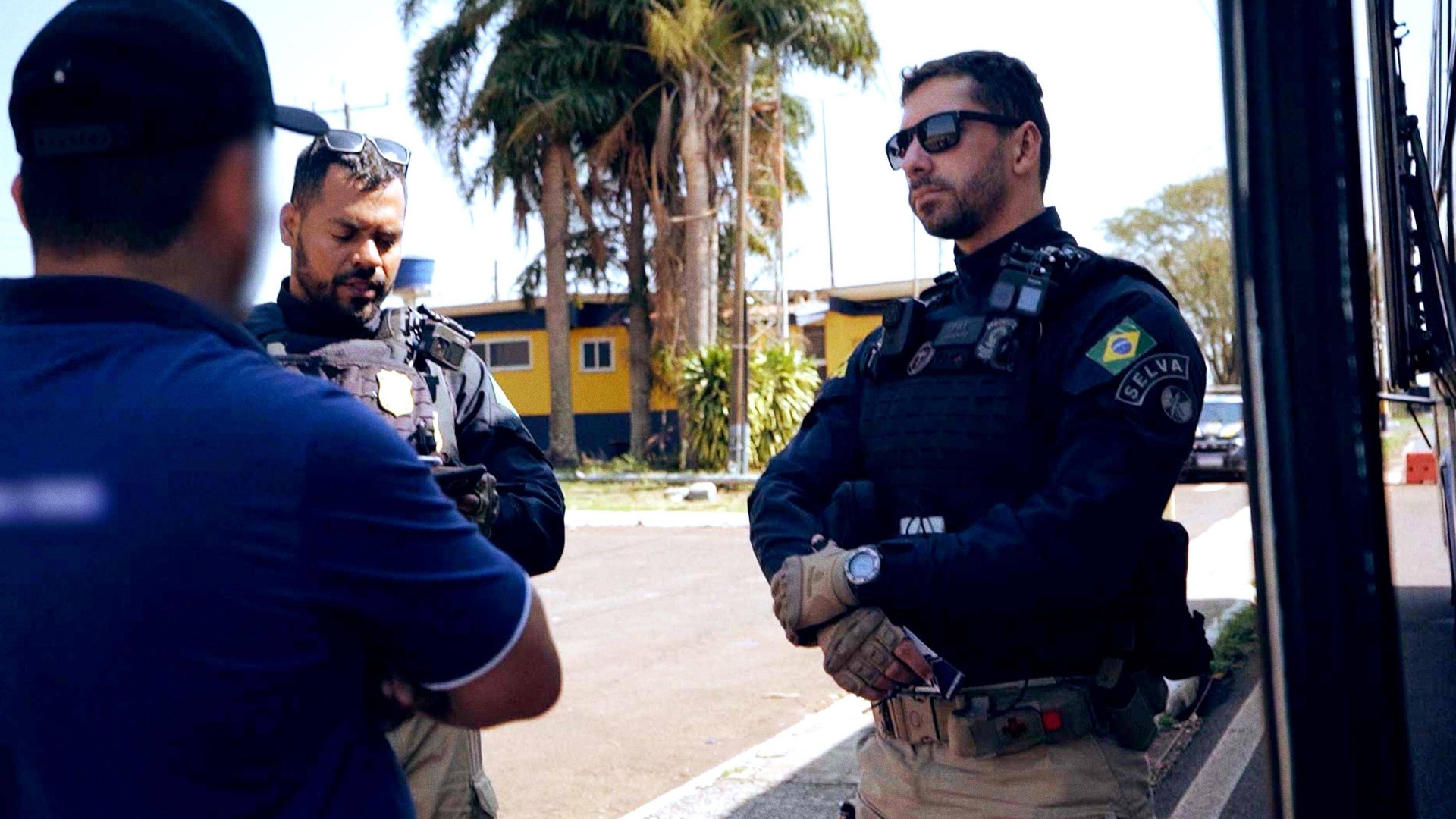 Operação Fronteira - Brasil : Galos de Rinha