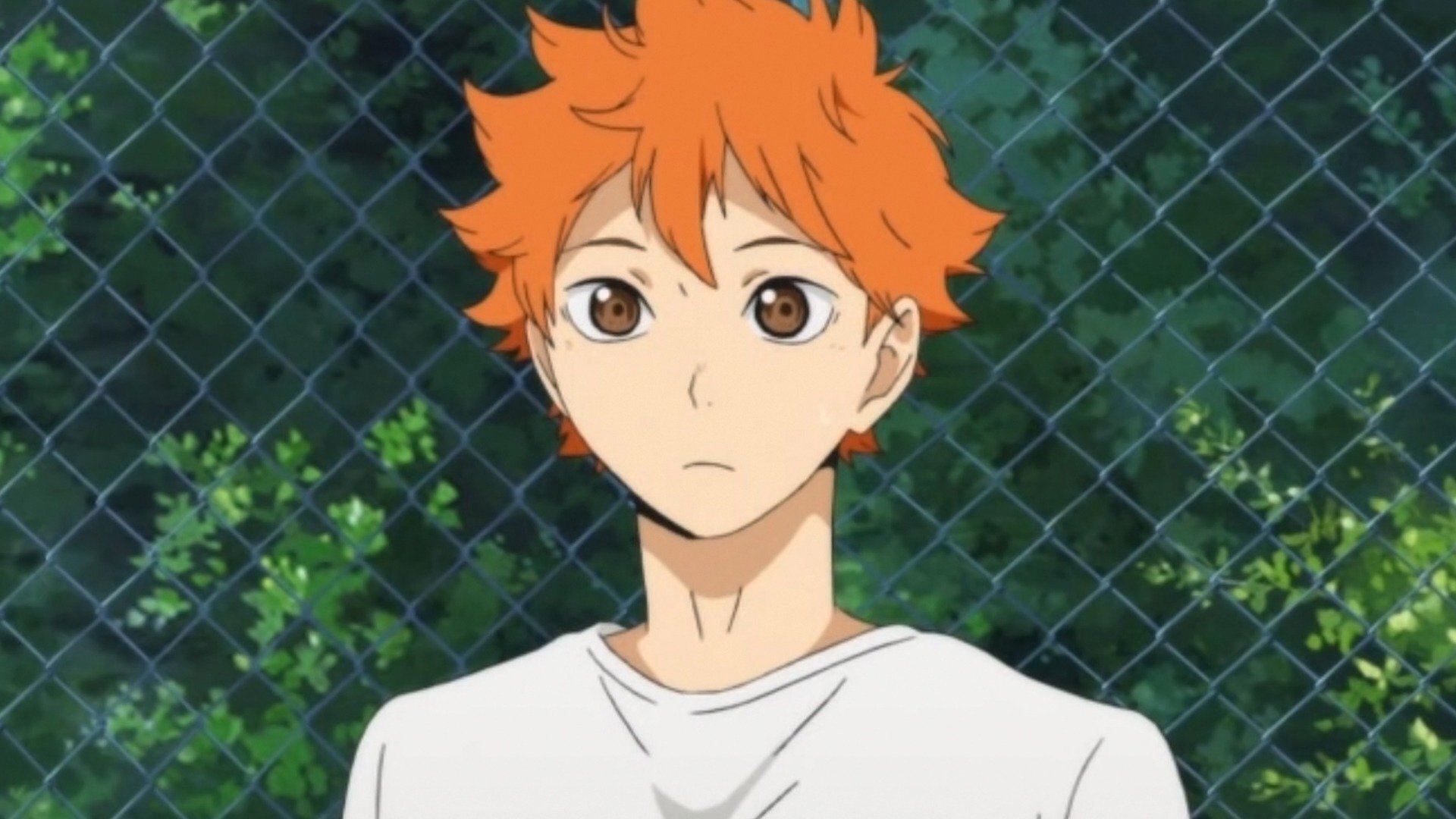 Haikyu!! : Decisão