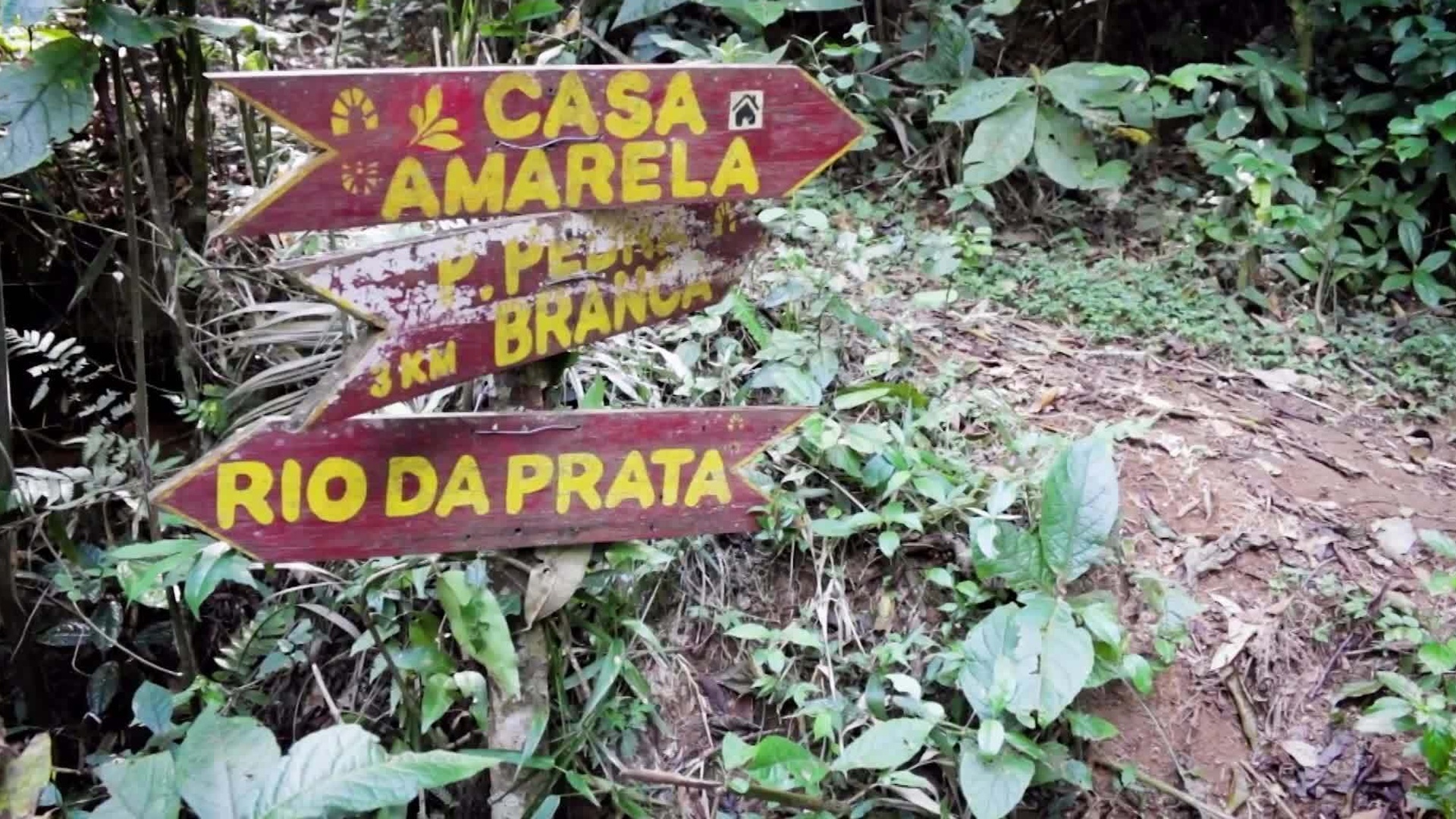 A Trilha Transcarioca : Geografia e Biodiversidade