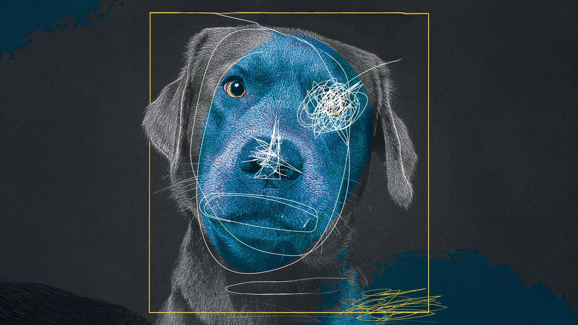 Lupi