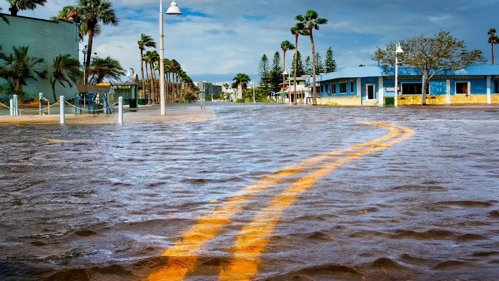 No Olho da Tempestade : Duplo Desastre de Furacões
