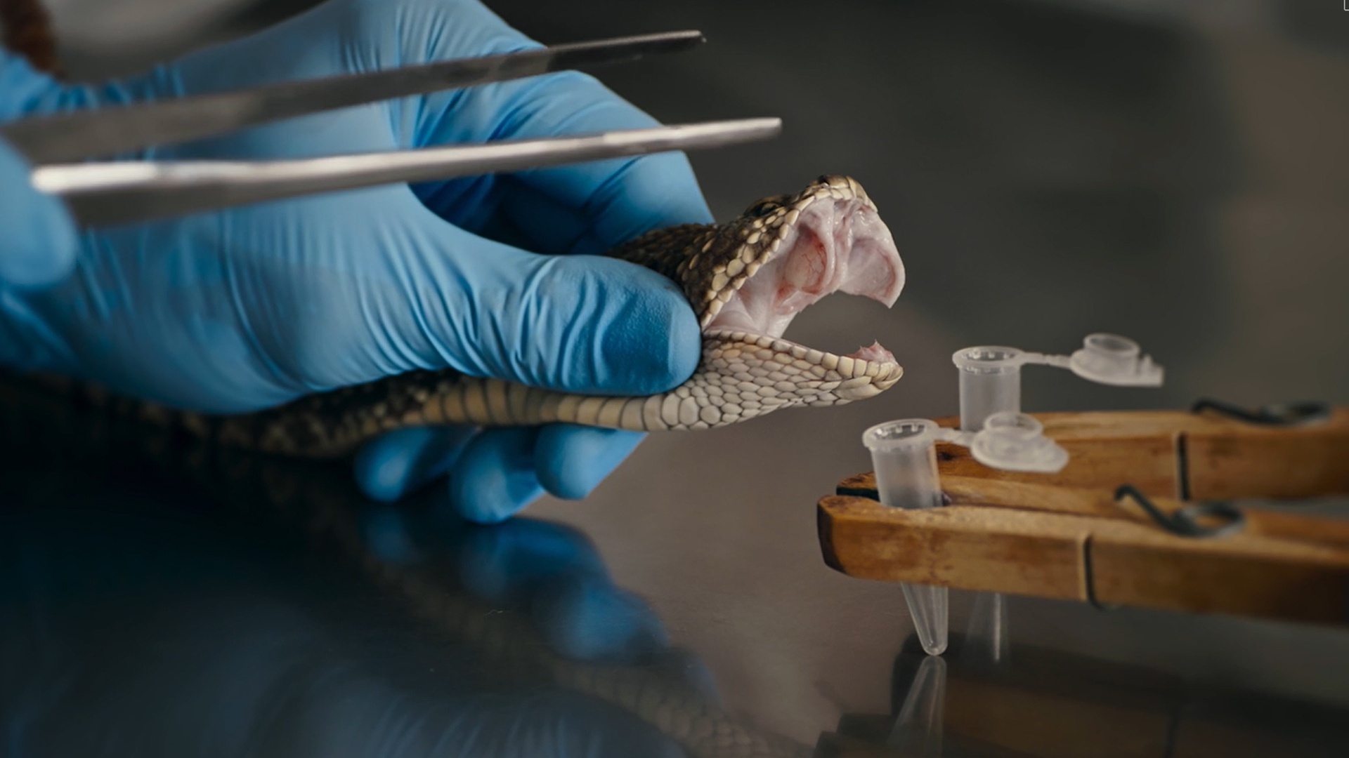 Ciência para Todos : Medicamentos Biológicos