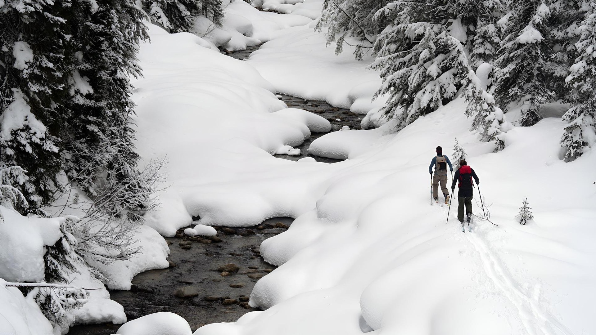 Partis skier : Contrôler les avalanches