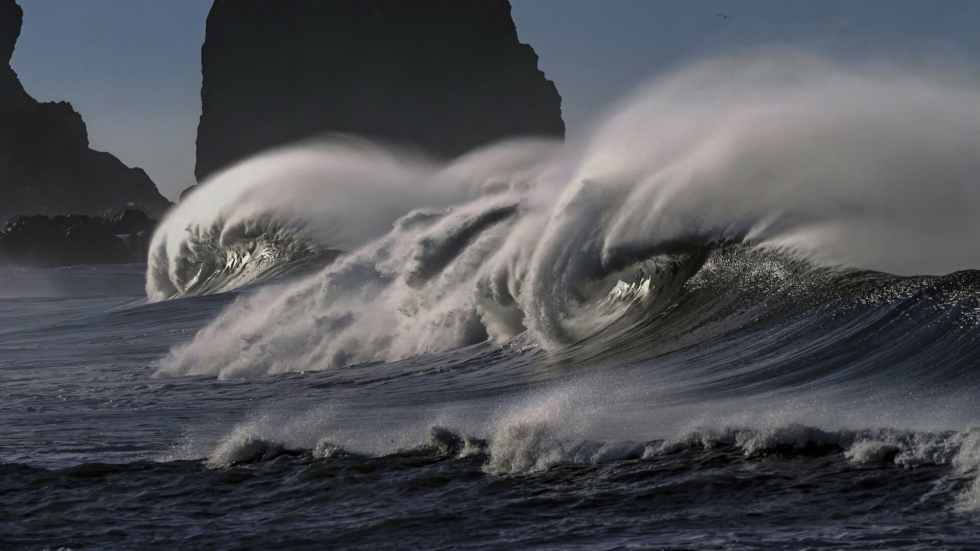 Shredding Monsters - Mavericks