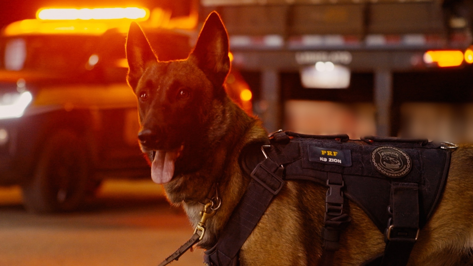 Operação Fronteira - Brasil : Caminhão Suspeito