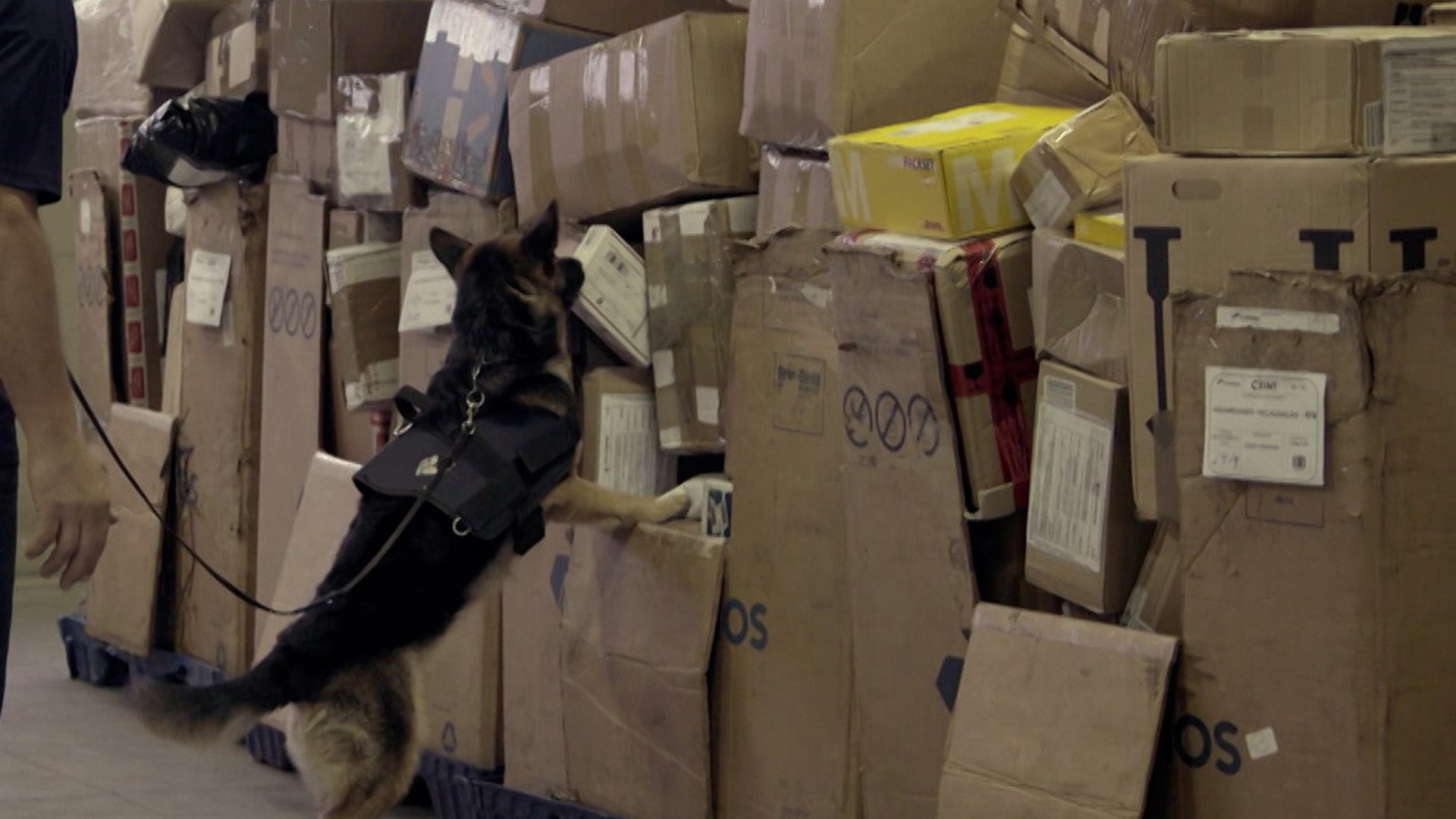 Aeroporto - Área Restrita : Tentativas Falhas