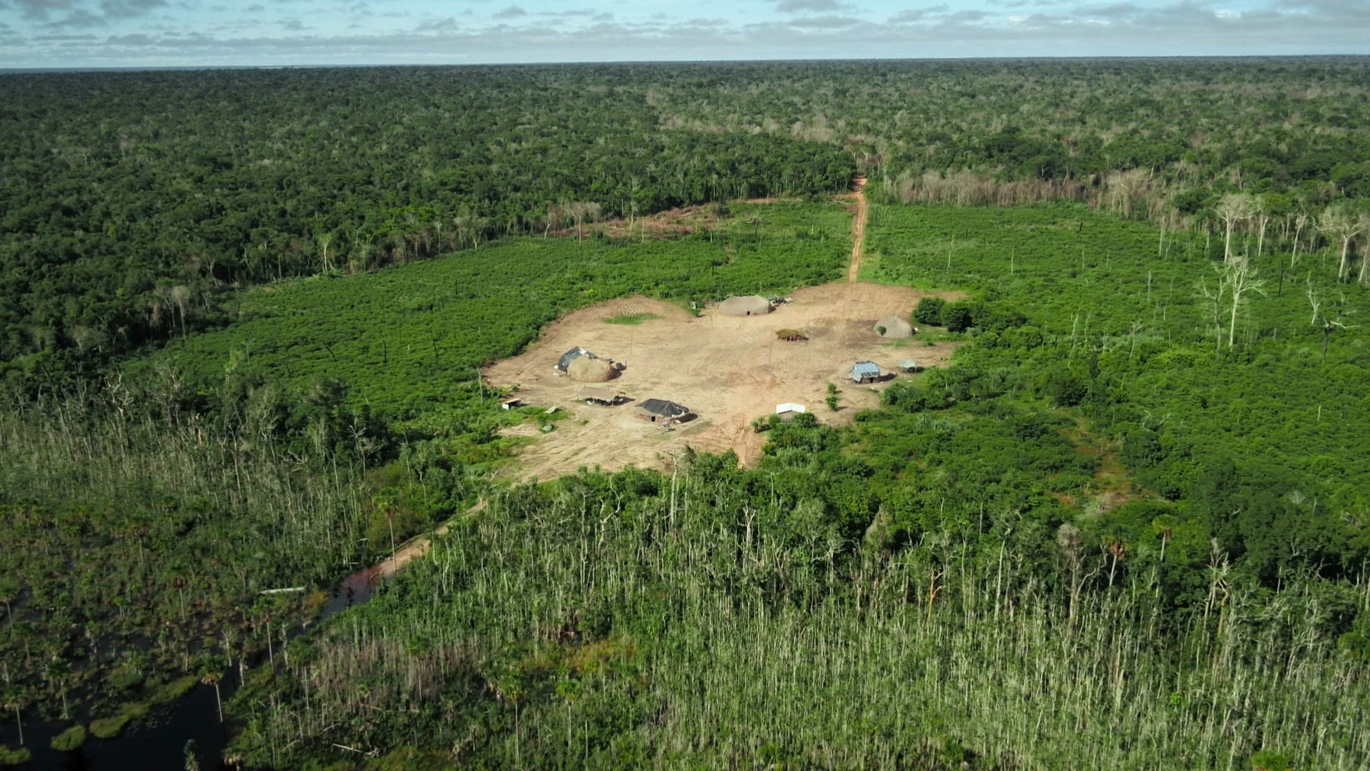 Xingu-Tokyo - Conexão Ancestral