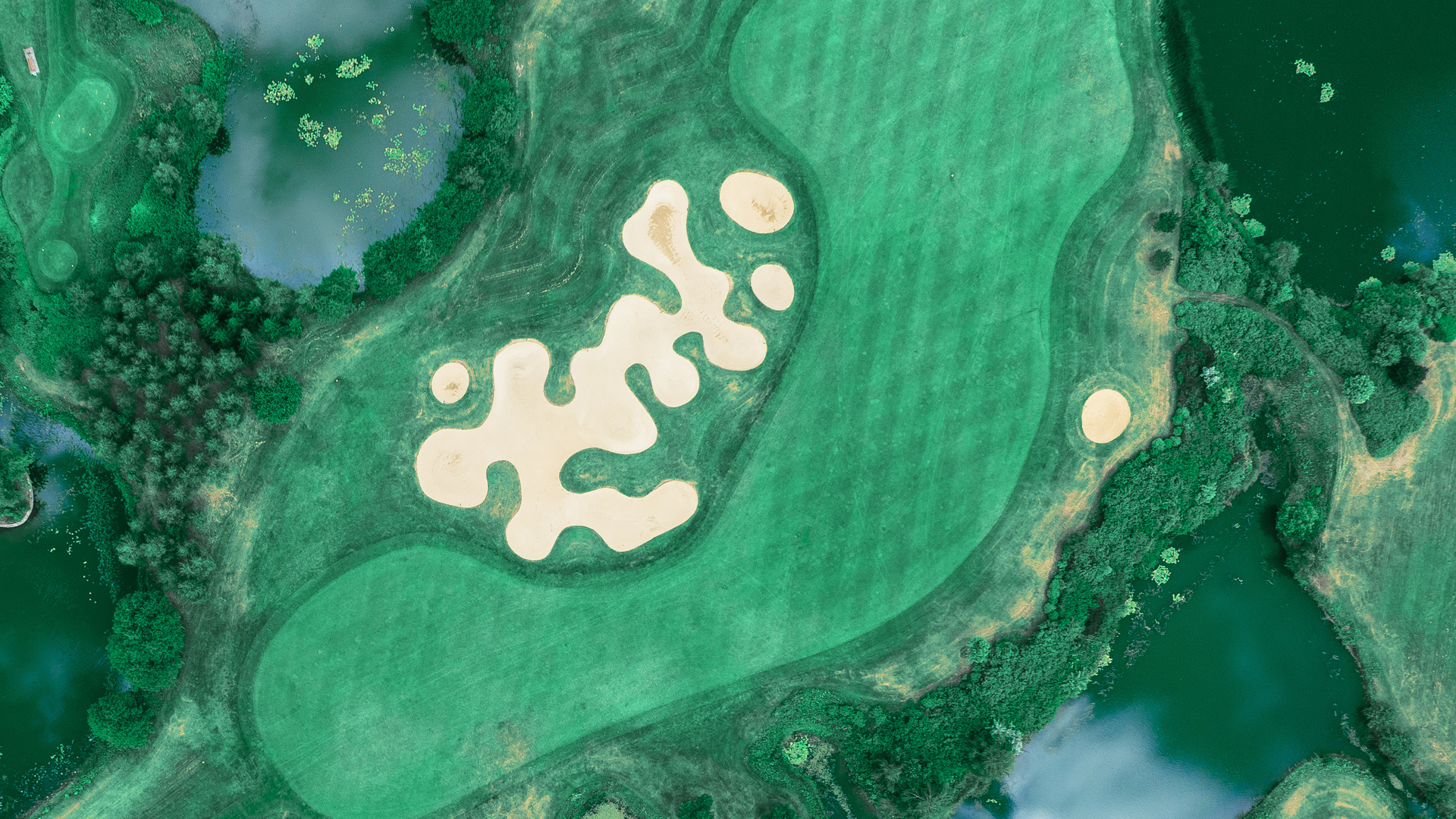 The Smylie Show