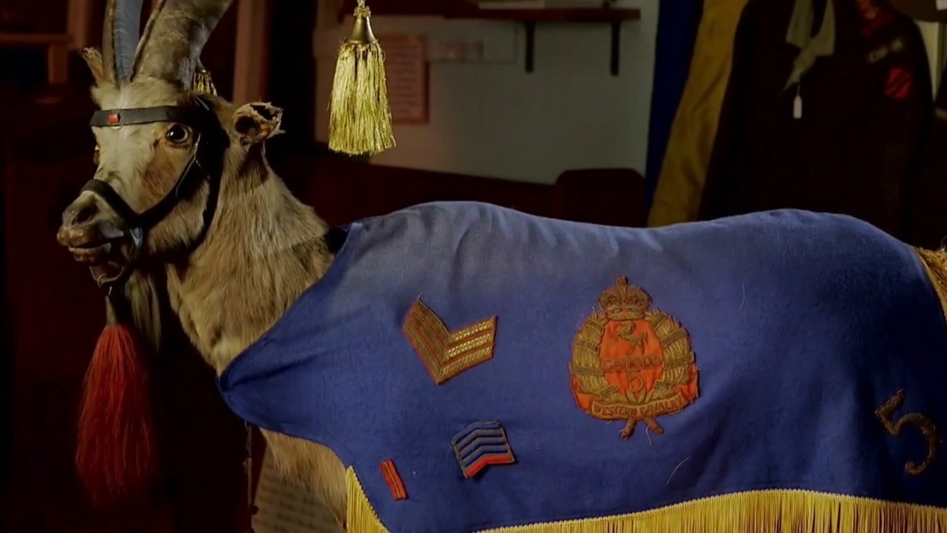 Mistérios no Museu : Sergeant Bill Goat Hero, Gilded...