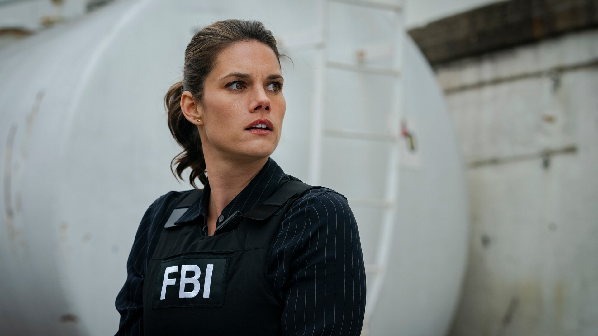 FBI : Polícias e Ladrões