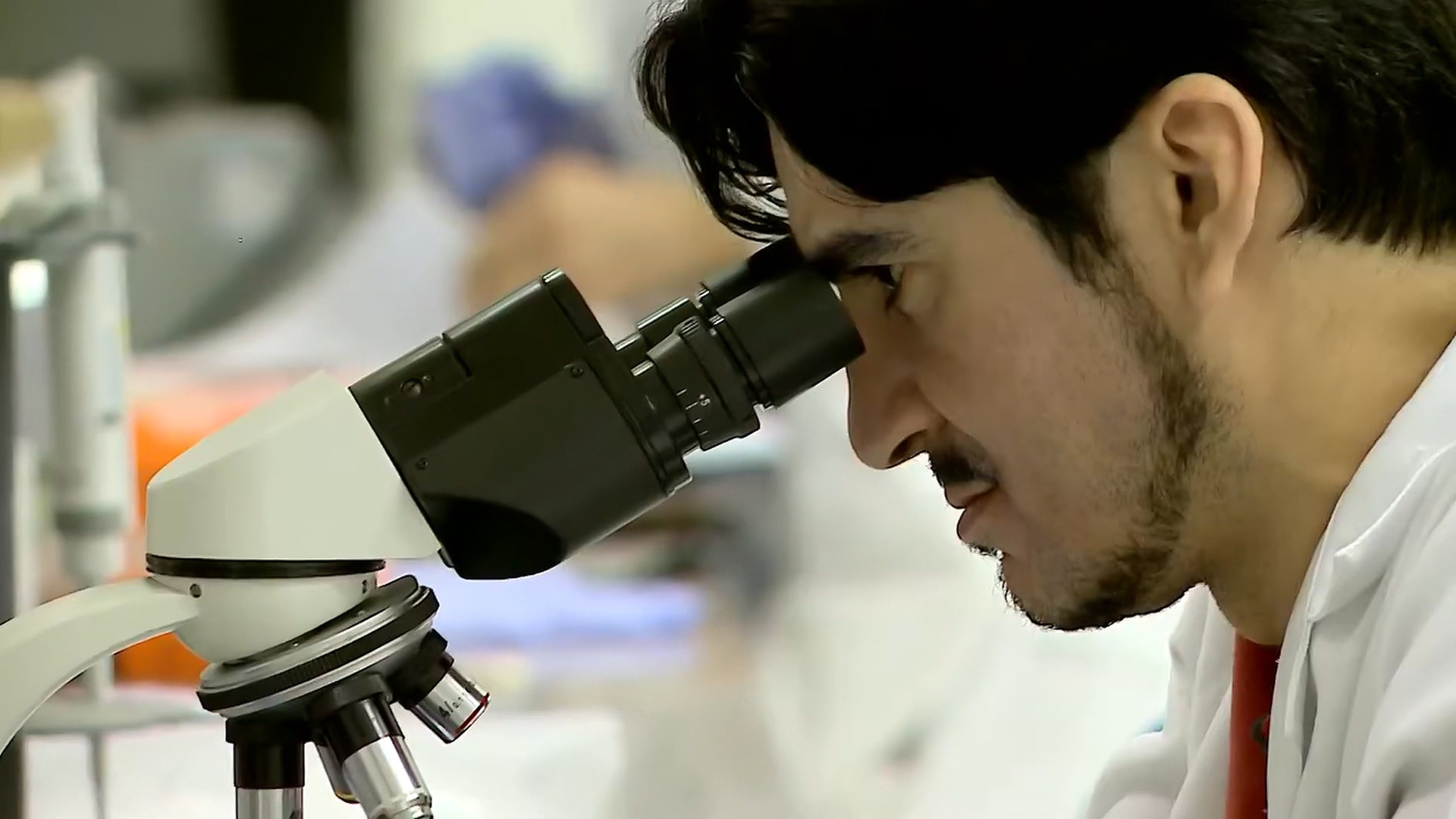 Ciência sem Limites : Pesquisas em Bioprocessos e Biotecnologia