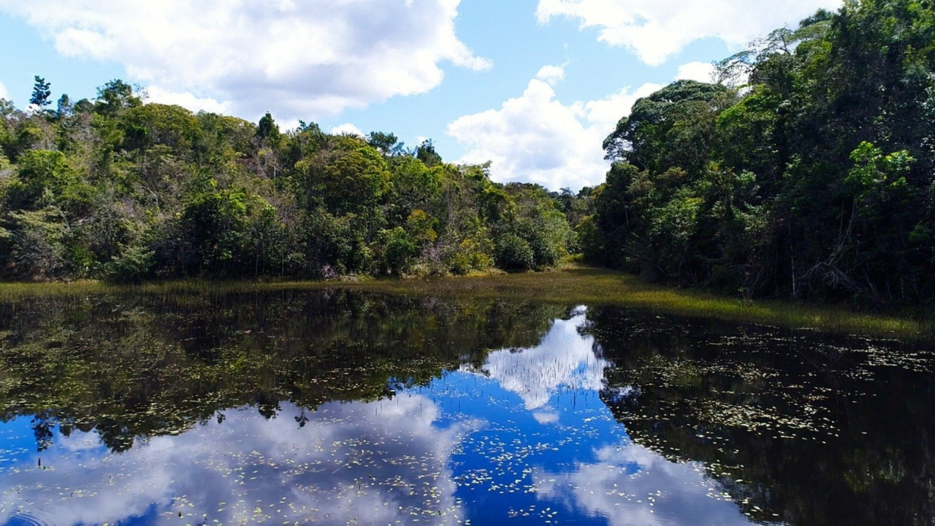 Parques do Brasil : Parque Nacional do Descobrimento