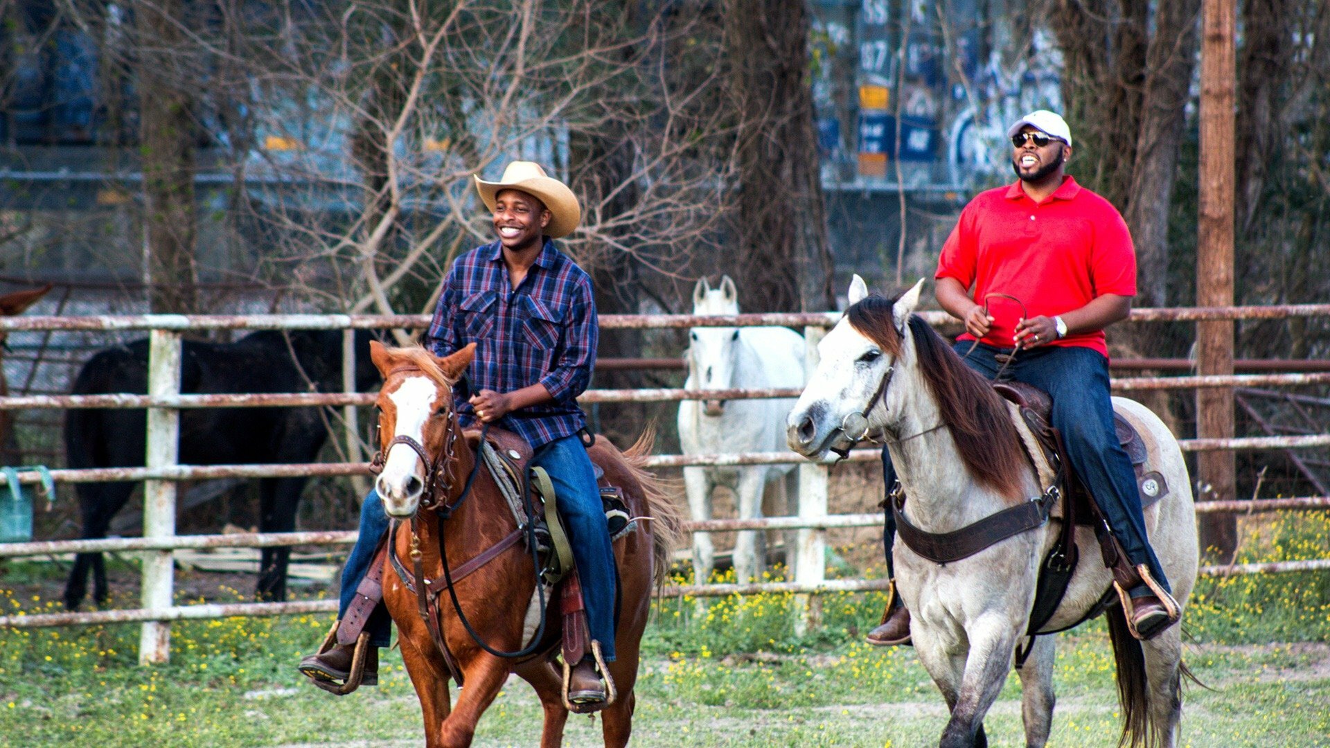 Veterinários do Texas : Filhotes Milagrosos