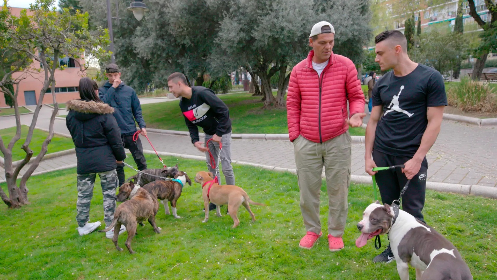 Perdido na Espanha - Cães Perigosos : Episódio 1