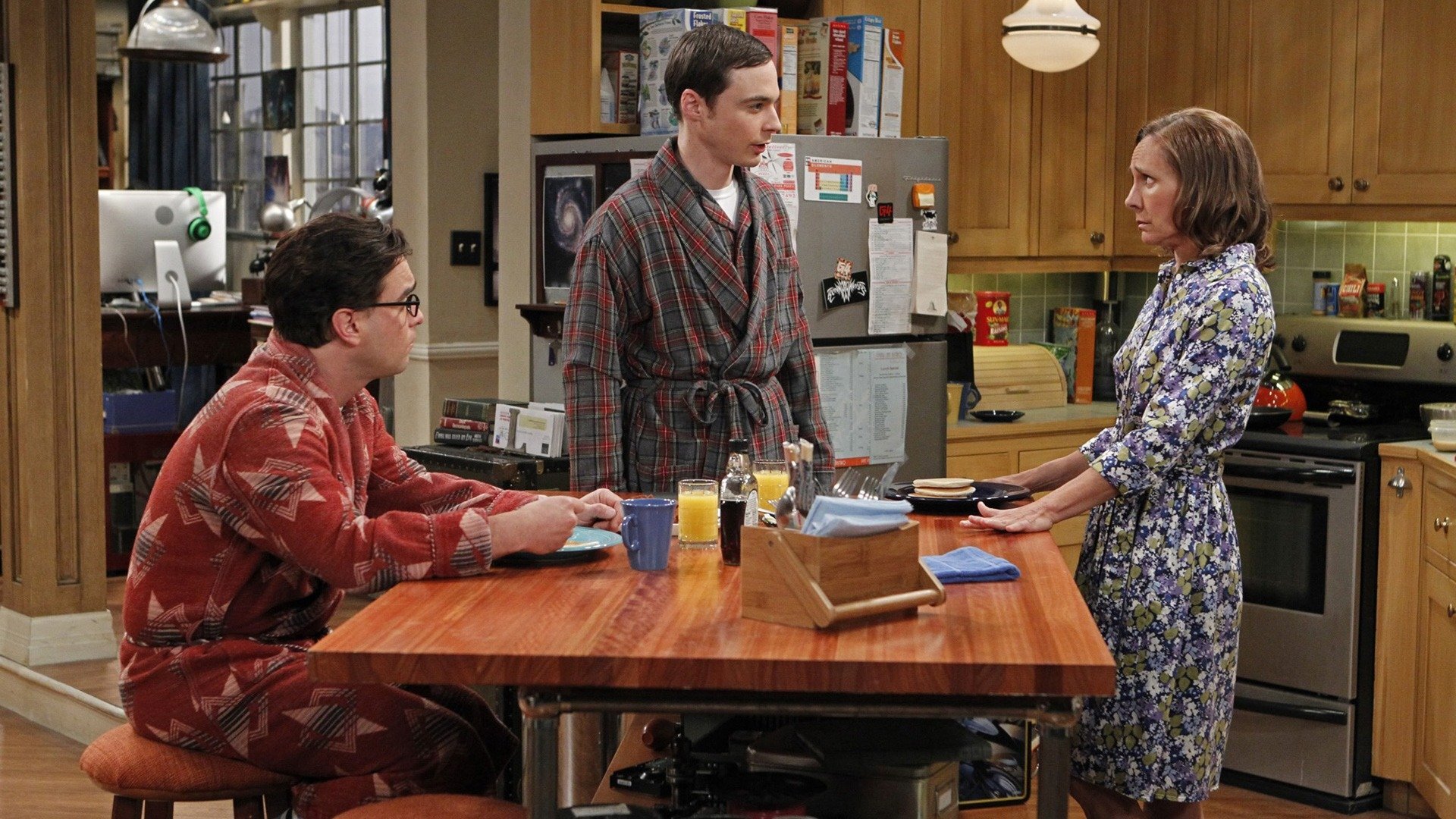 The Big Bang Theory : The Rhinitis Revelation