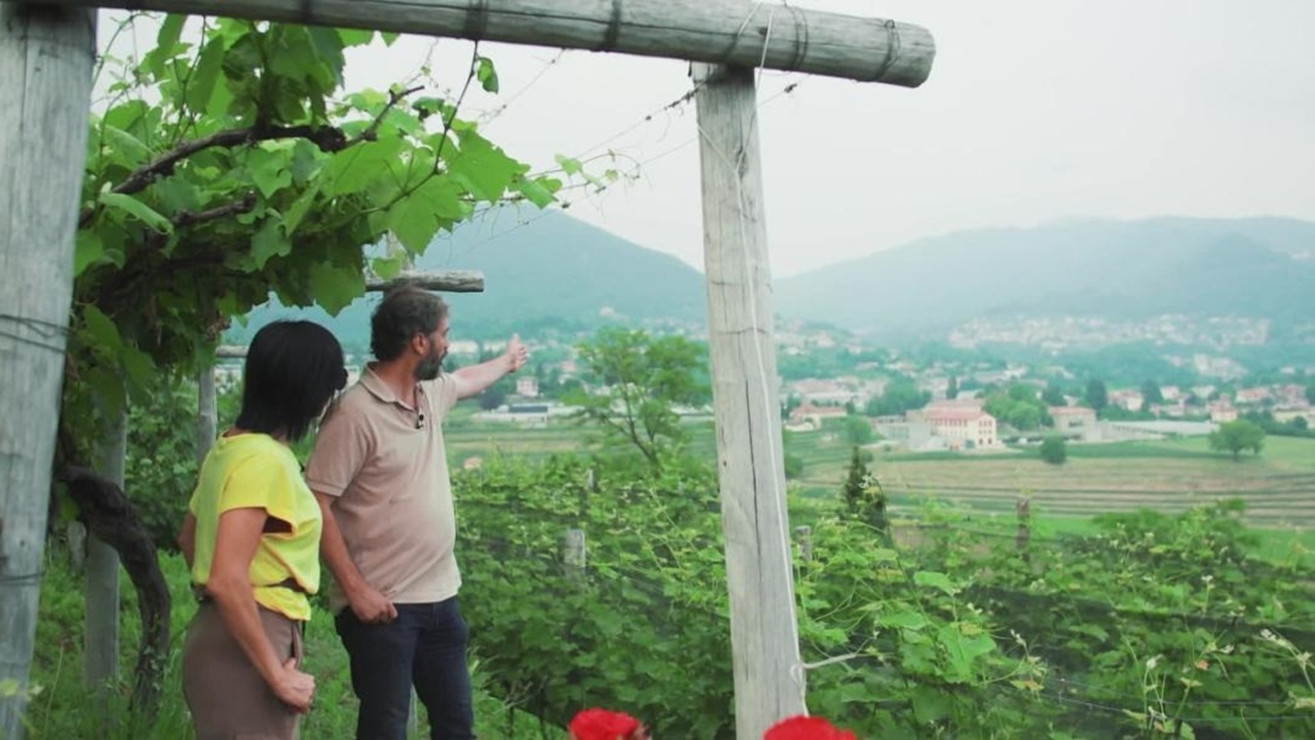 Escapades en Suisse italienne : Dans les vignobles du Mendrisiotto