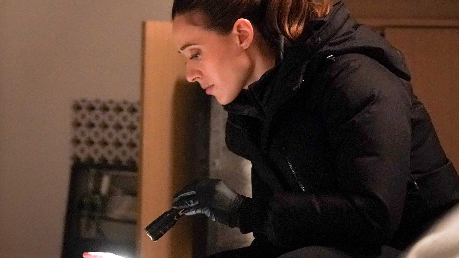 Chicago P.D. : Ouro dos Tolos