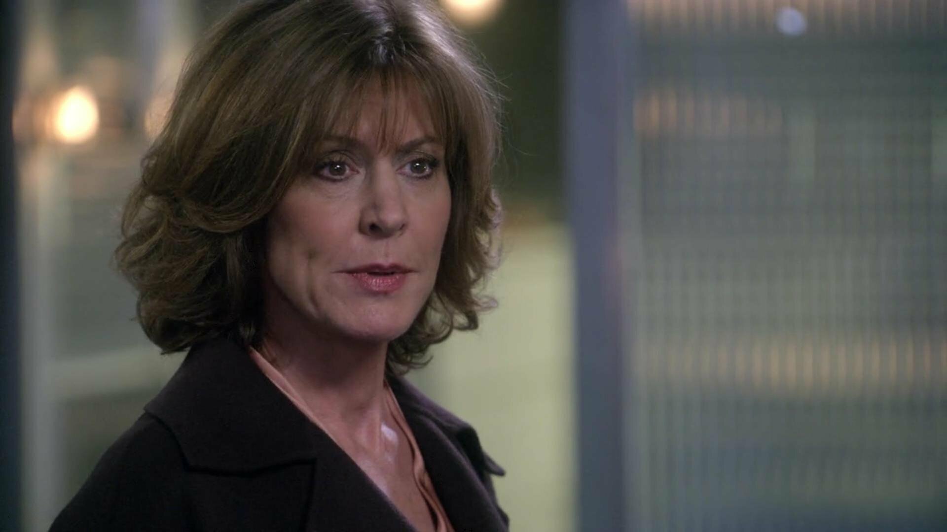 Law & Order: Special Victims Unit : Pursuit