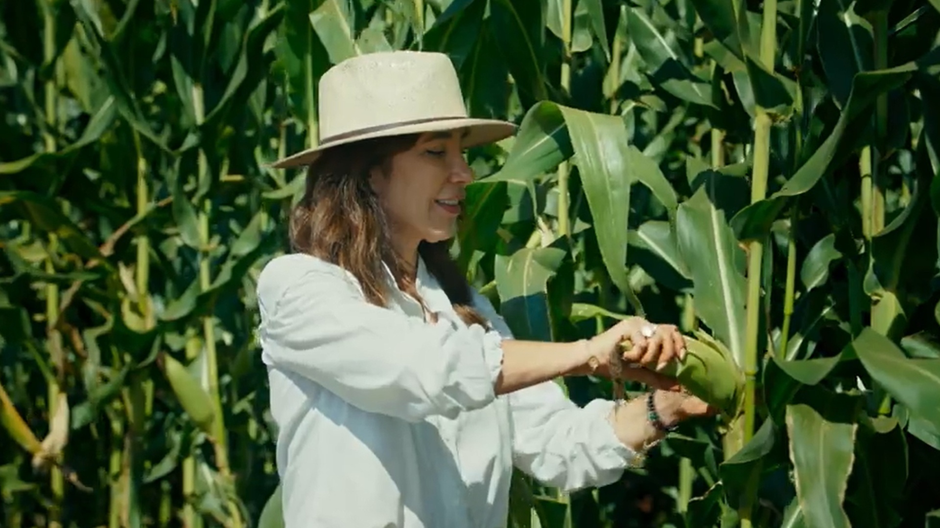 Ciência para Todos : Agricultura e Carbono