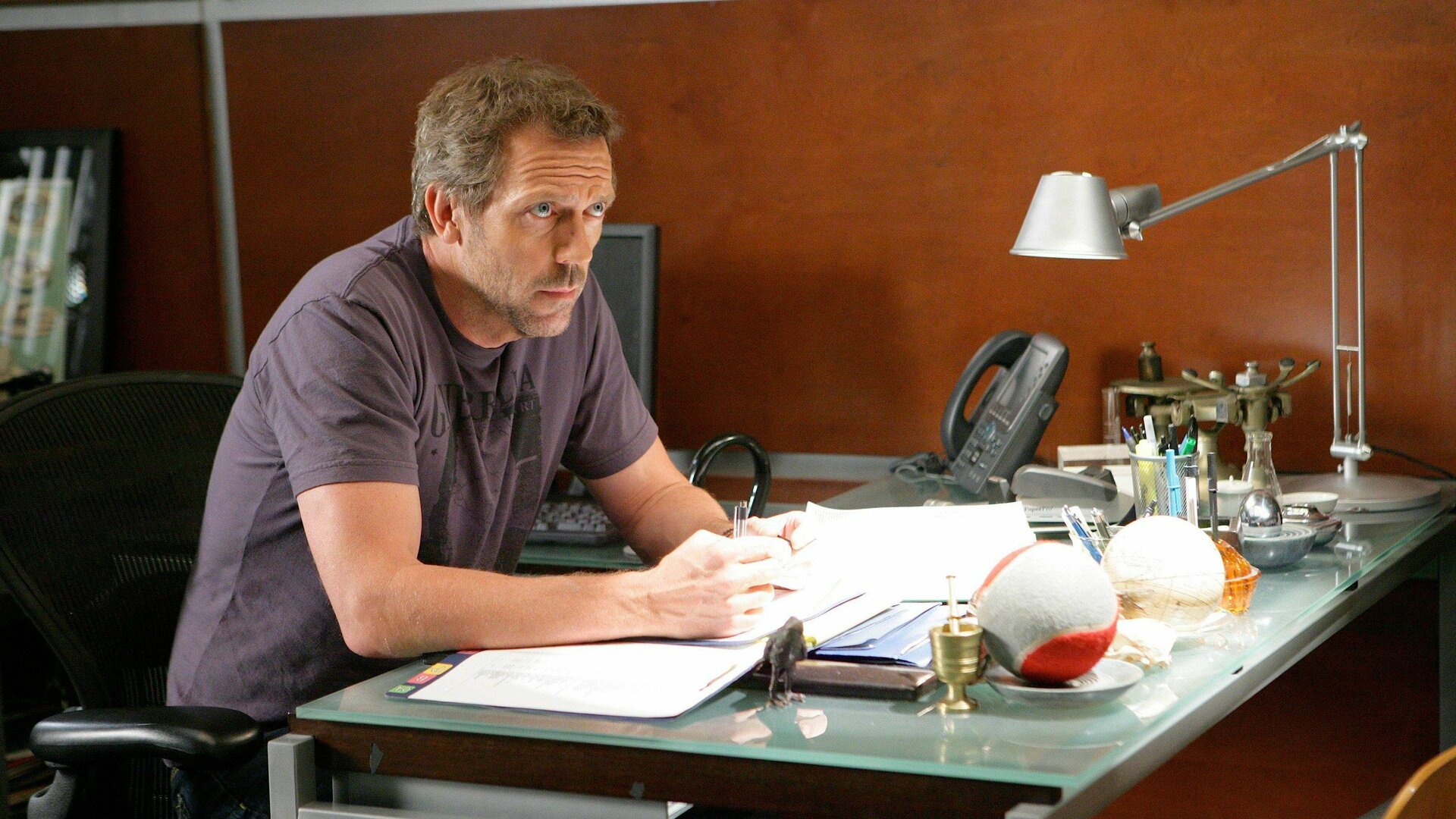 House : As Panteras