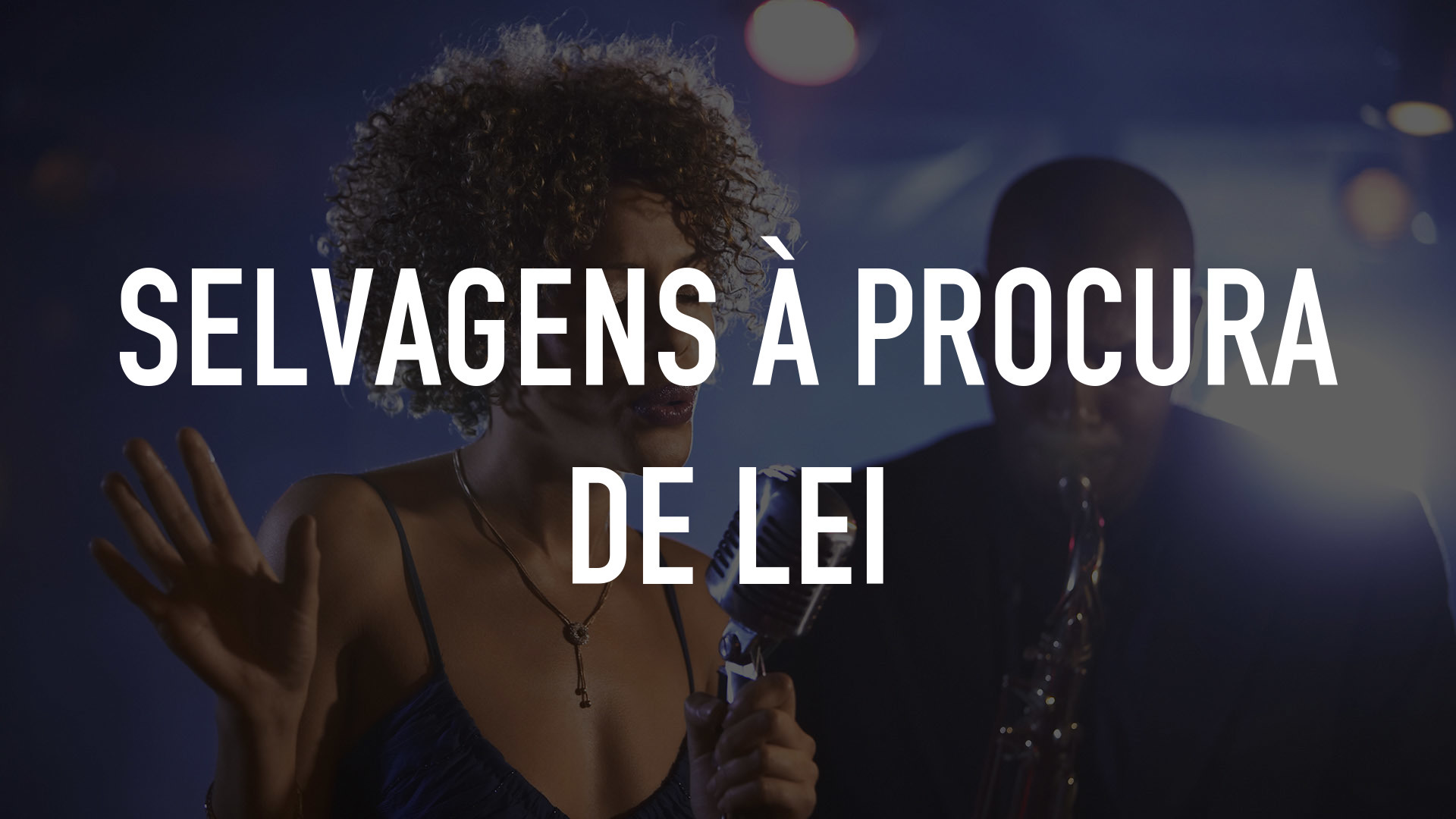 Selvagens à Procura de Lei