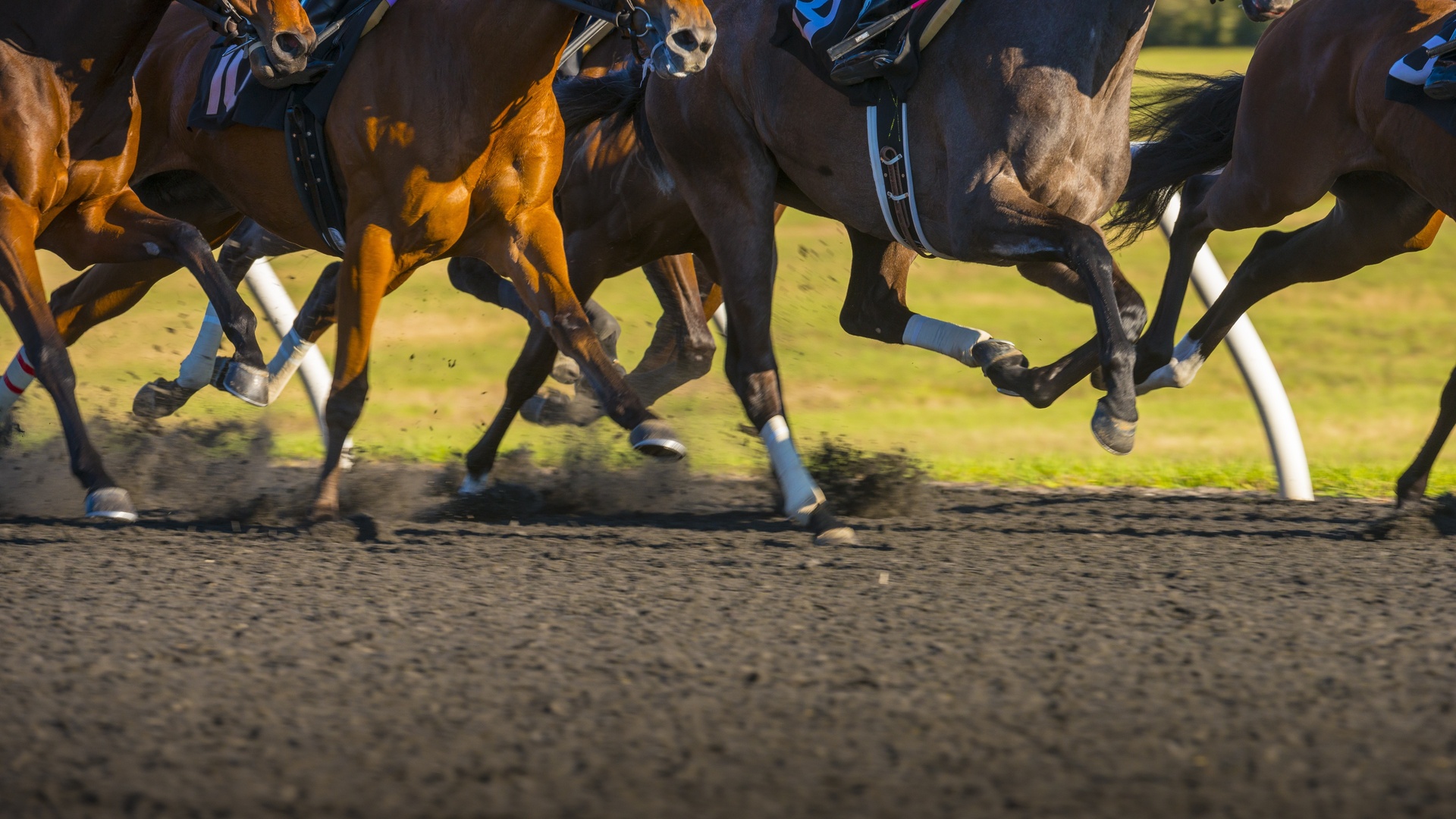 Preakness Stakes 2026