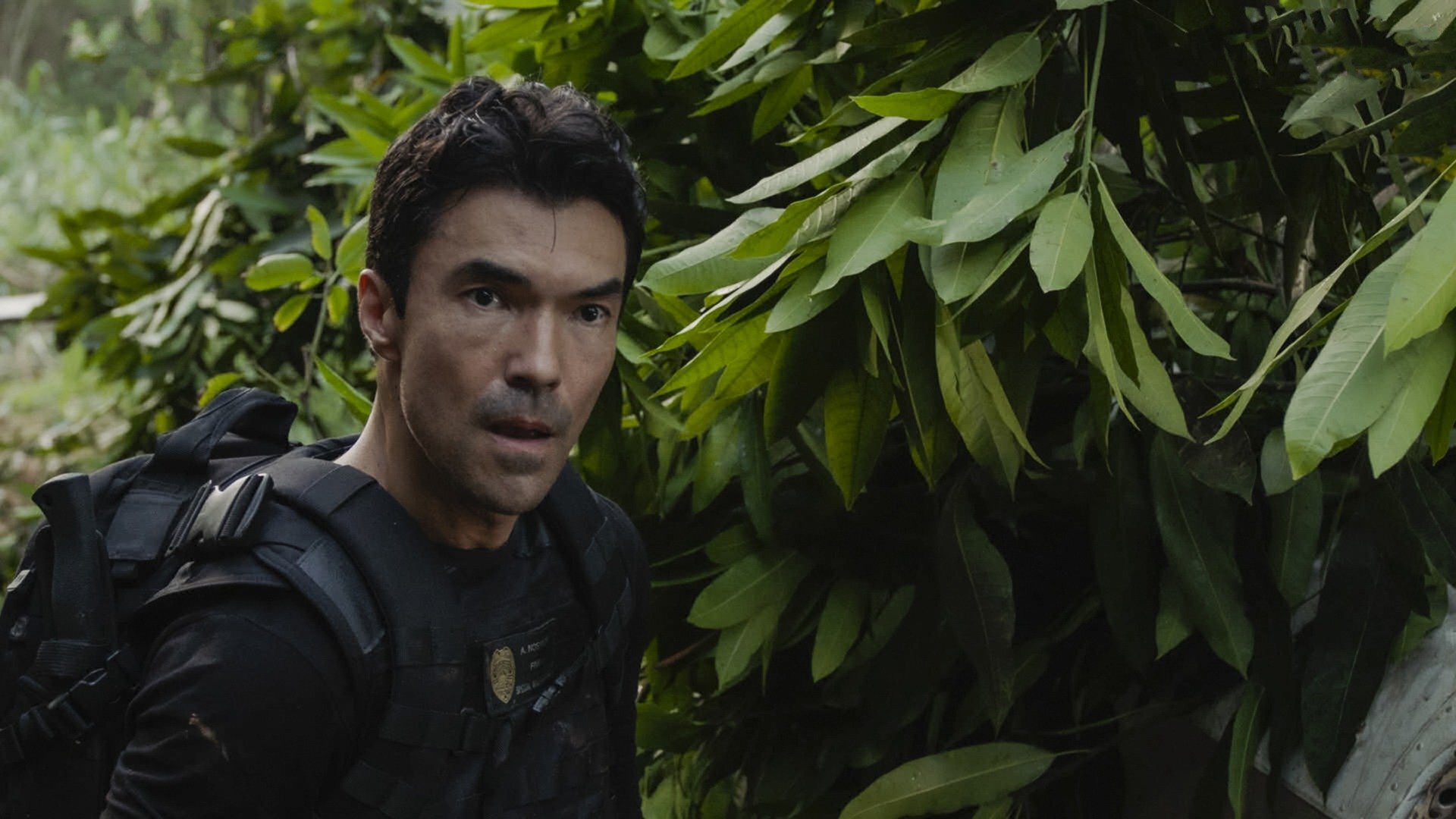 Hawaii Five-0 : That Way and This Way Shifts the Sands of Punahoa