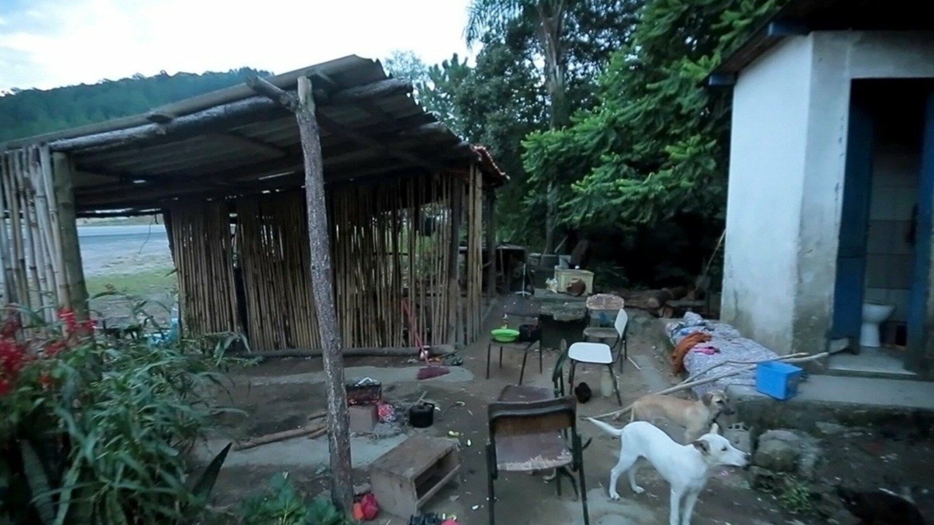 Habitar/Habitat : Maloca