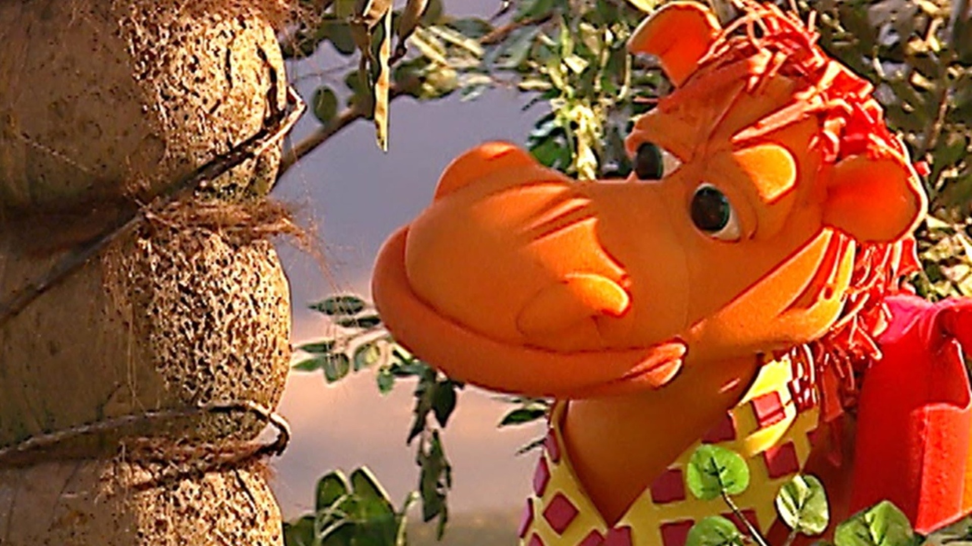 Cocoricó : Sol e Piquenique