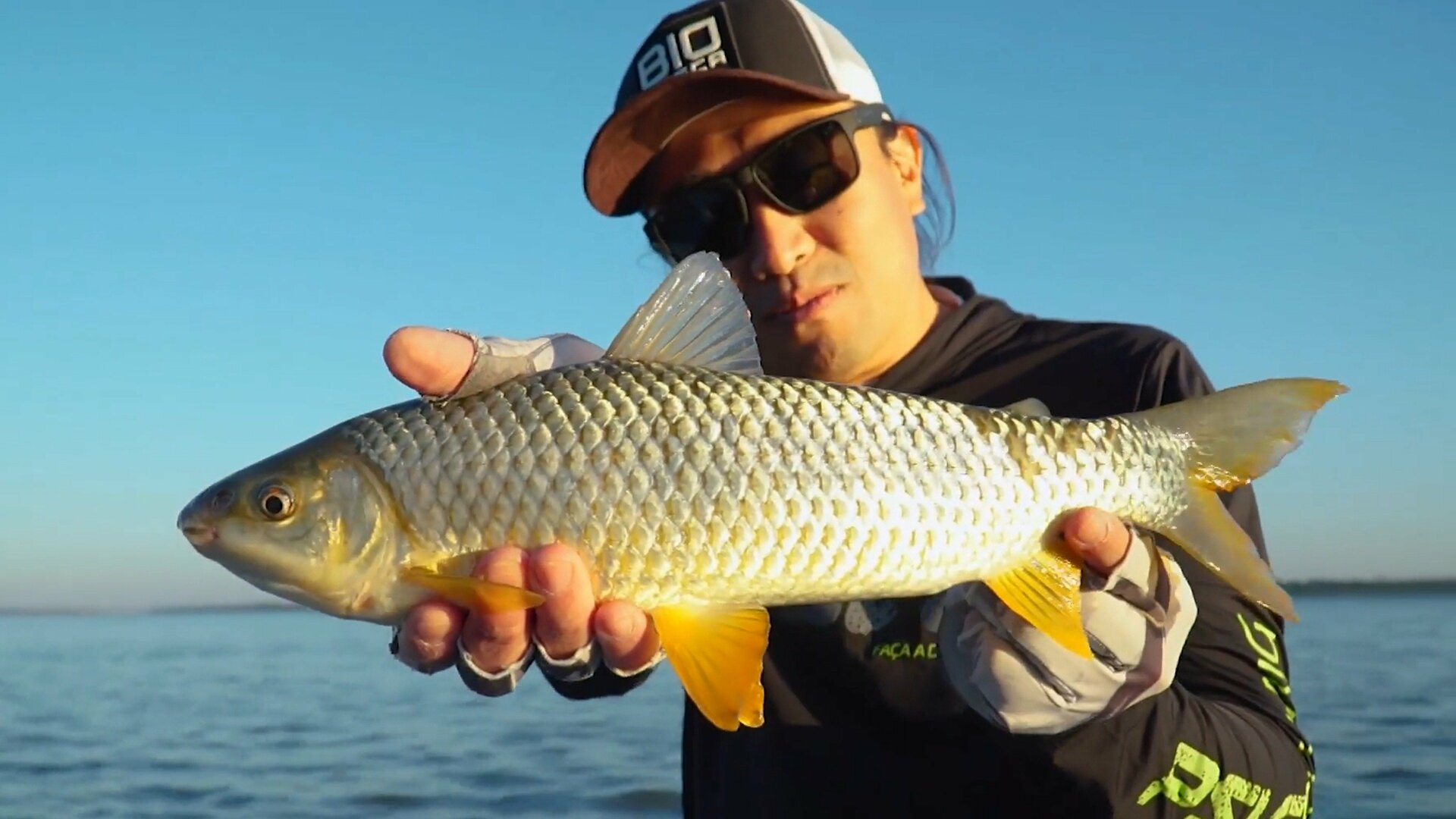 Biopesca : As Piaparas Ariscas do Rio Paraná
