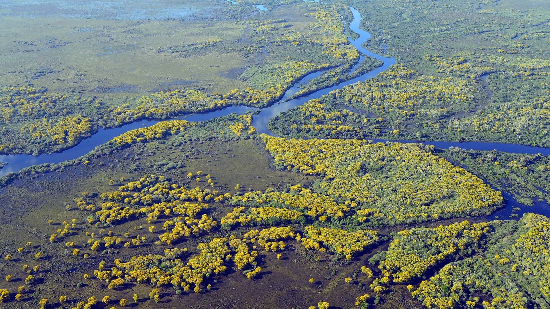 Travel no Pantanal