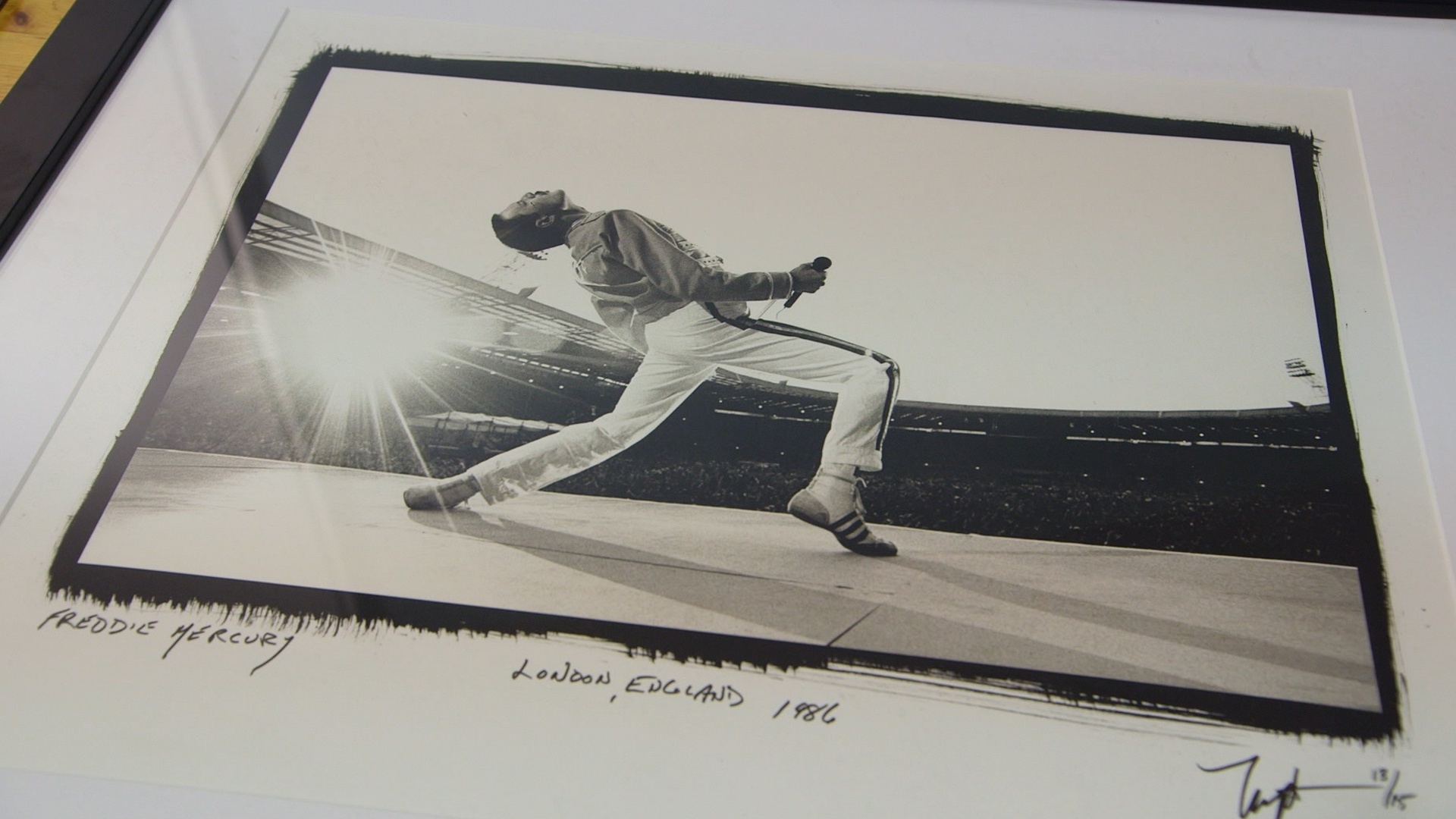 O Melhor de Trato Feito : Estrelas do Rock