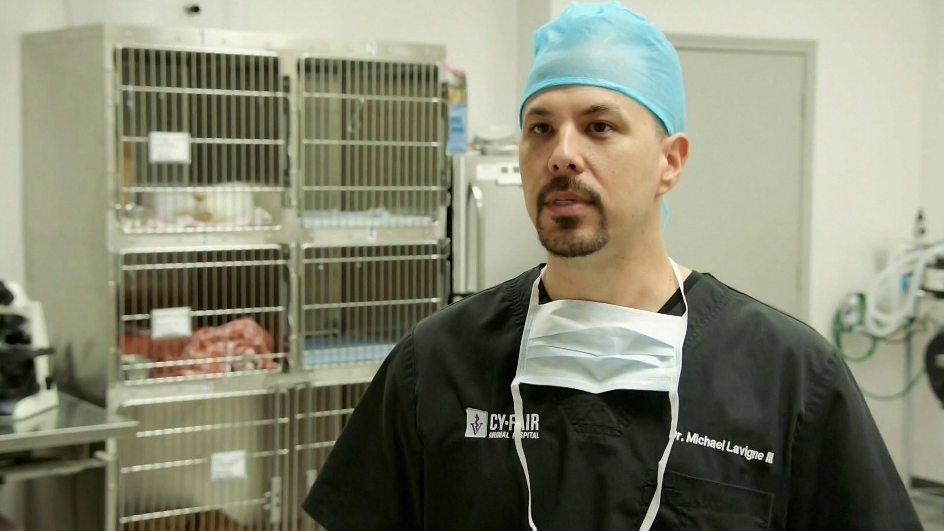 Veterinários do Texas : Luz, Câmera, Ação!