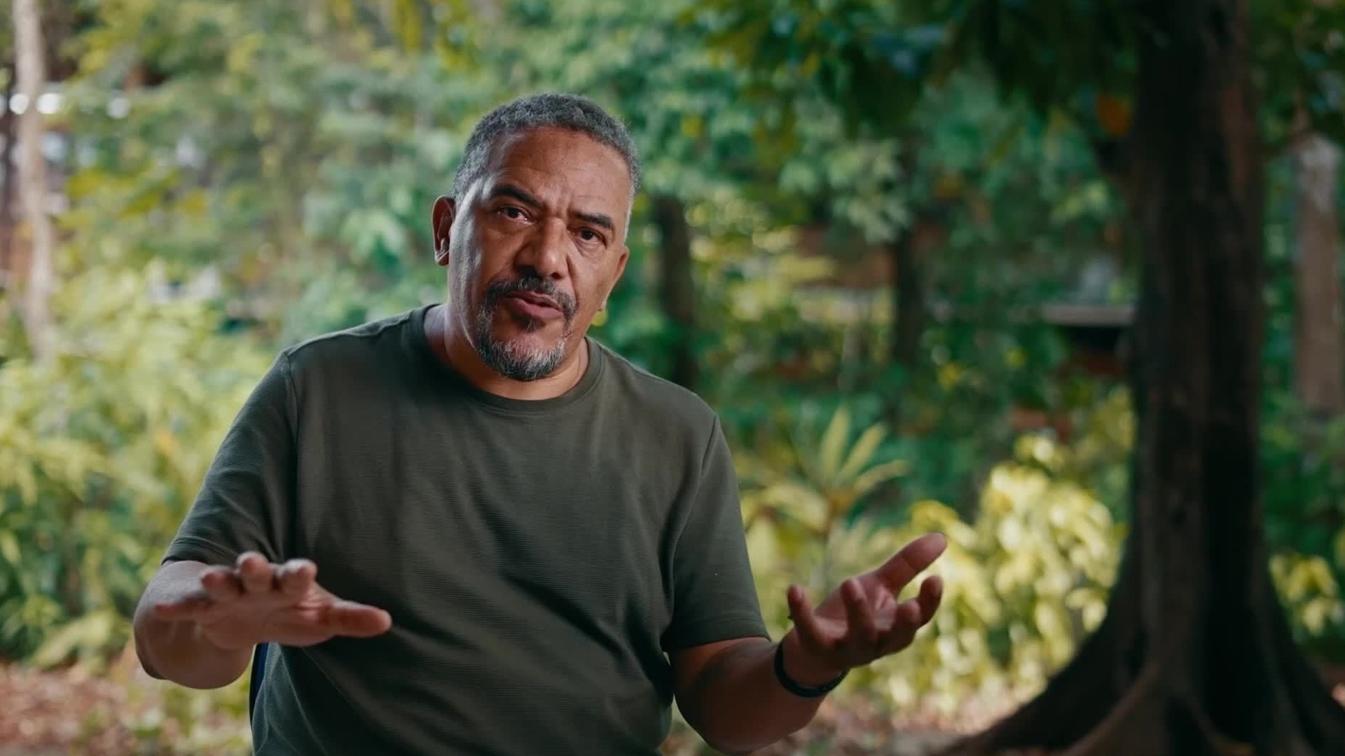 Amazônia: Novas Histórias : Unidades de Conservação